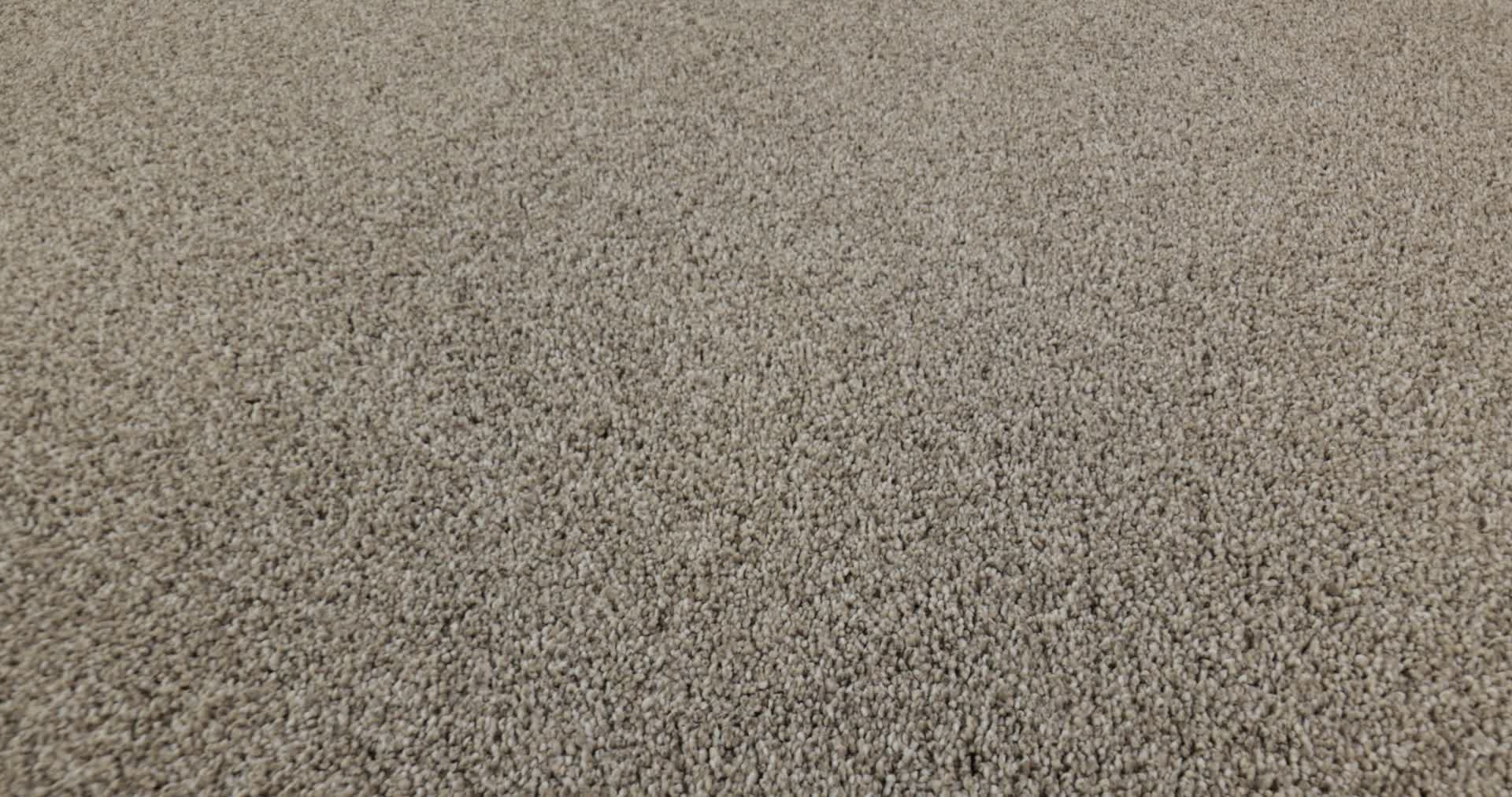 TIMELESS TONE BLUE PEBBLE PATH 360PROD