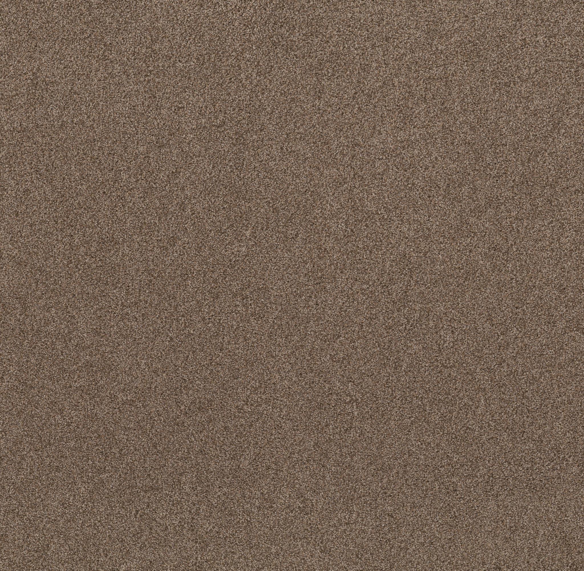 Live on Comfort CLASSIC CARAMEL MAIN