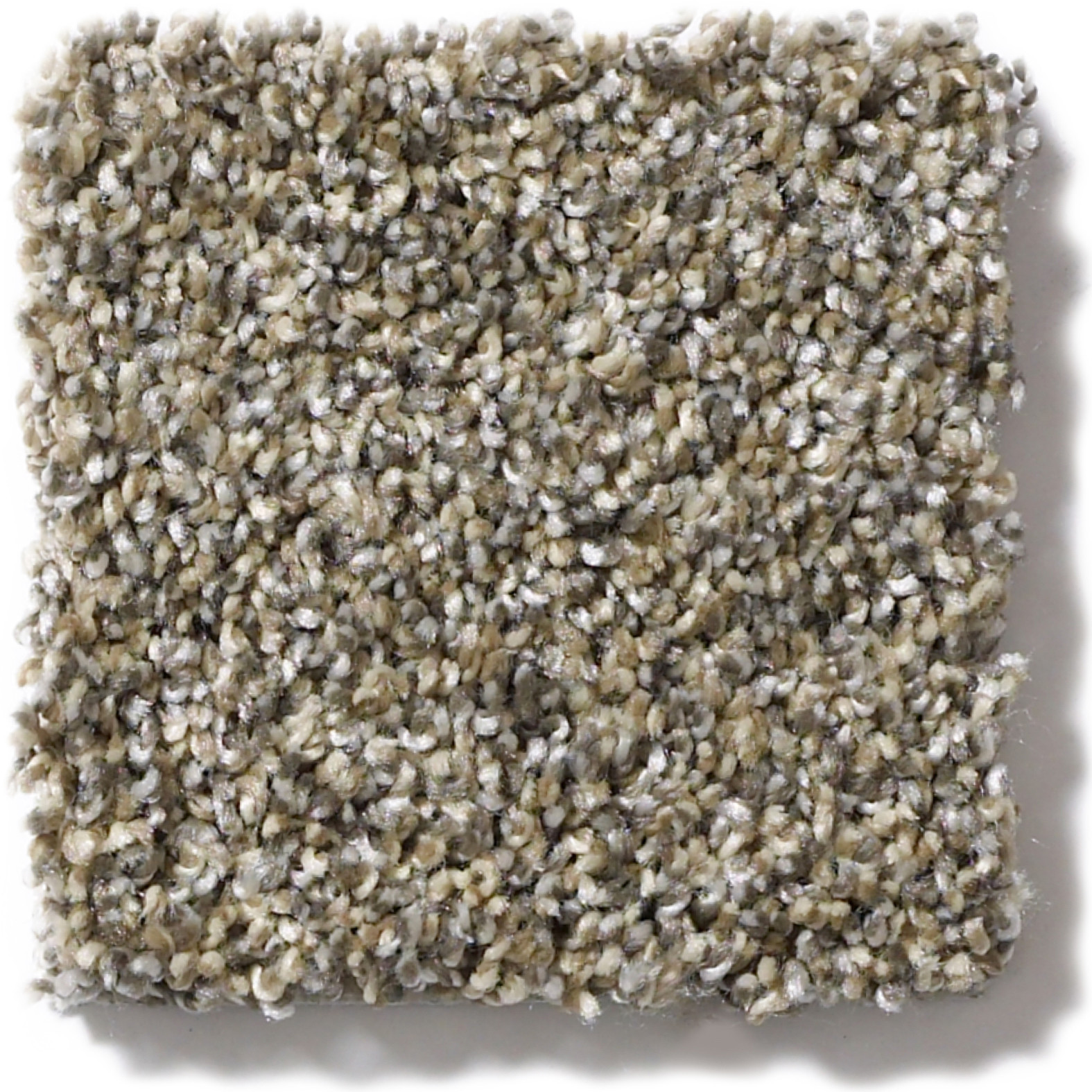 SOFT EFFERVESCENCE NUTRIA SWATCH