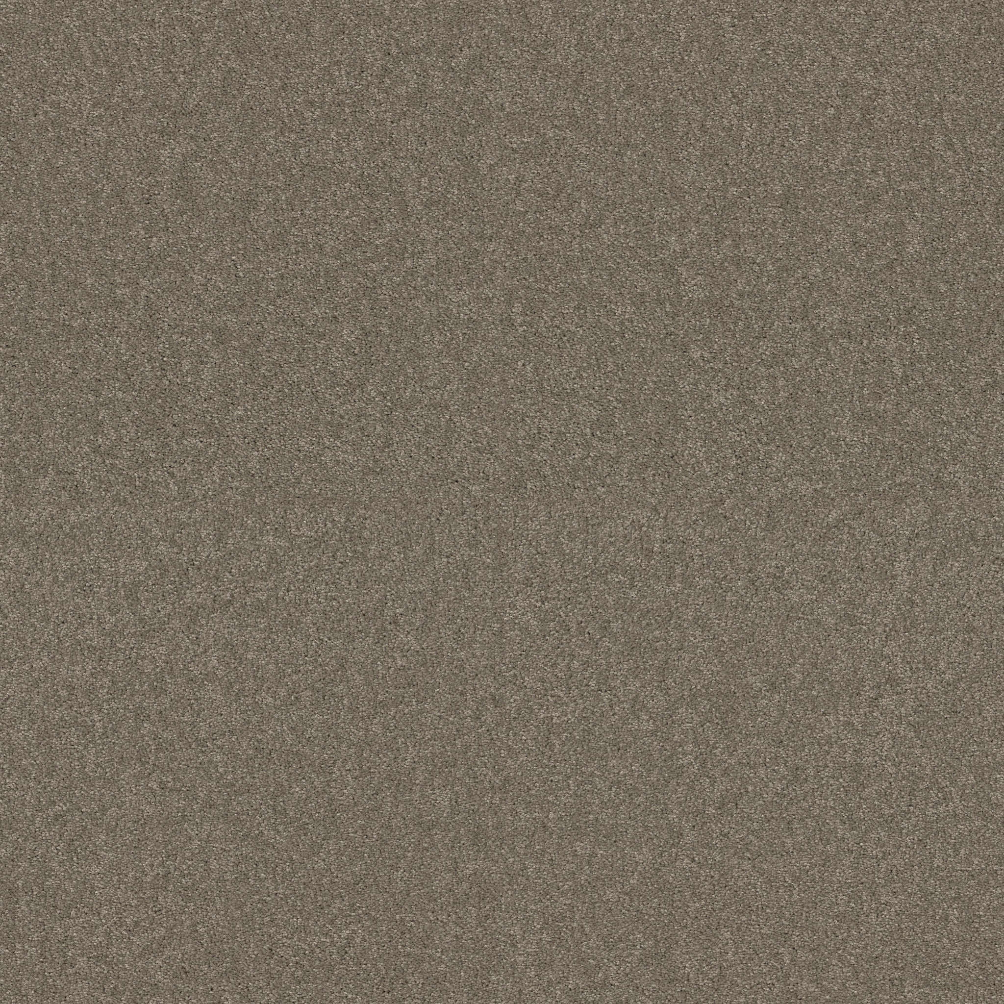 WHAT'S UP ASHEN MAIN