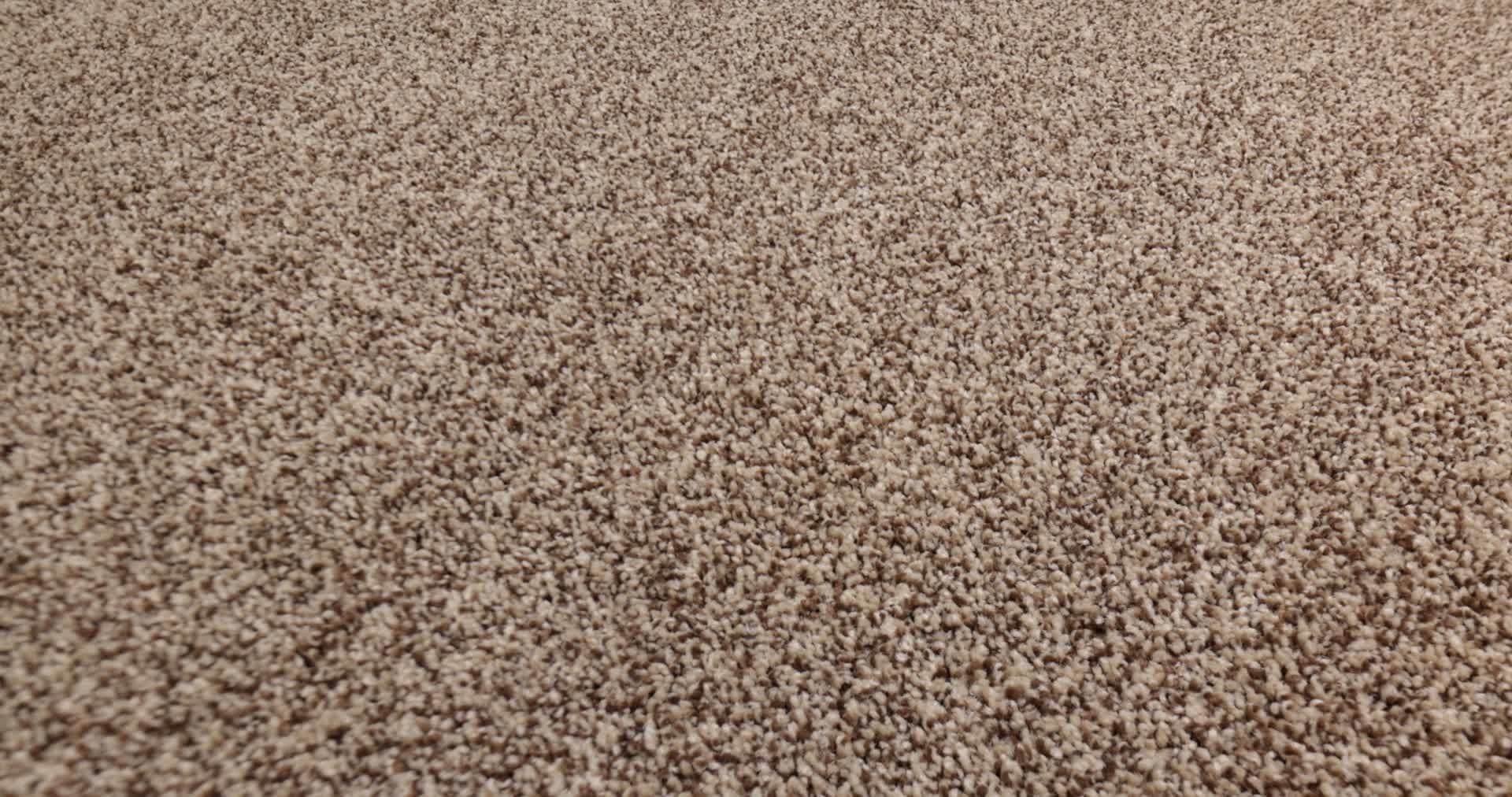 BOSSA NOVA RANCH 360PROD