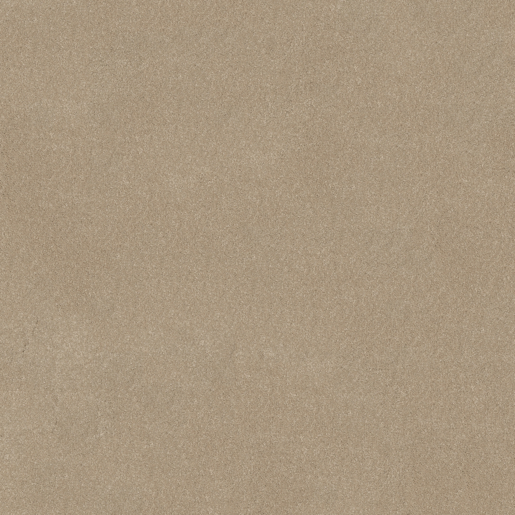 YOU KNOW IT FRENCH CANVAS MAIN