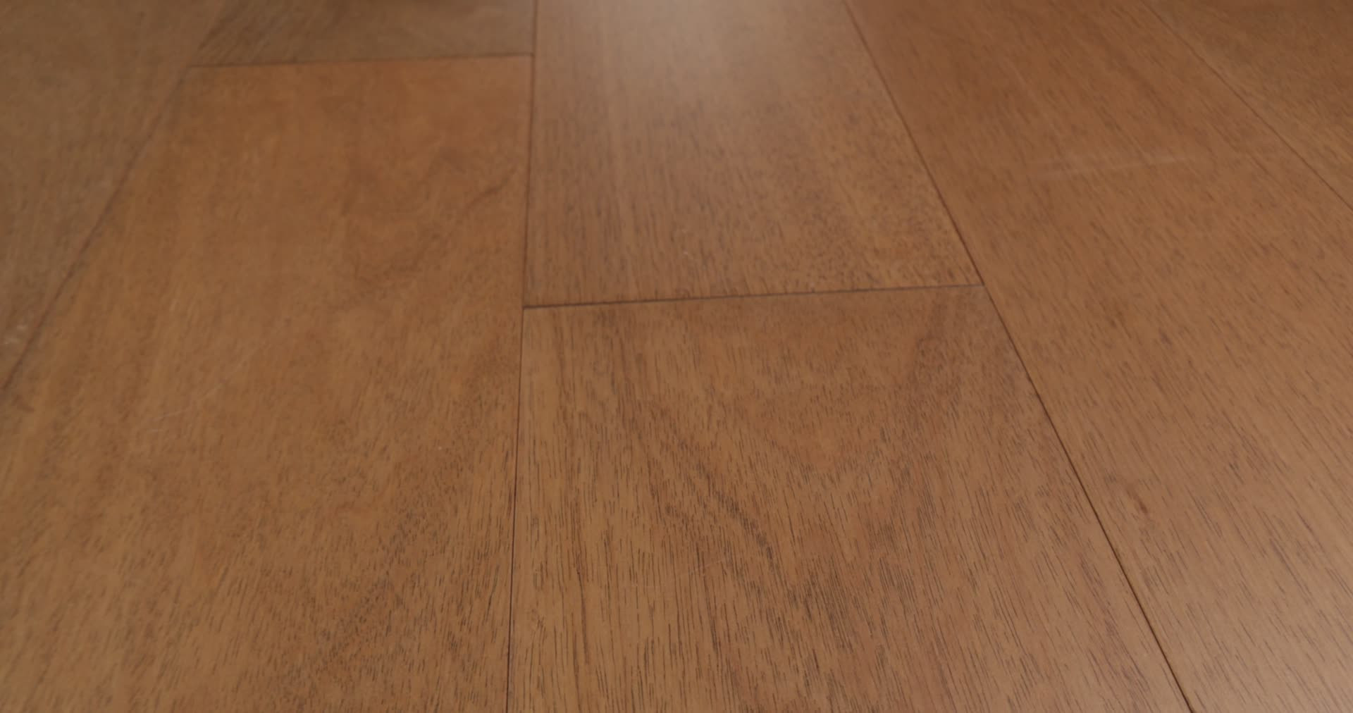 BRASILIA BARREL 360PROD