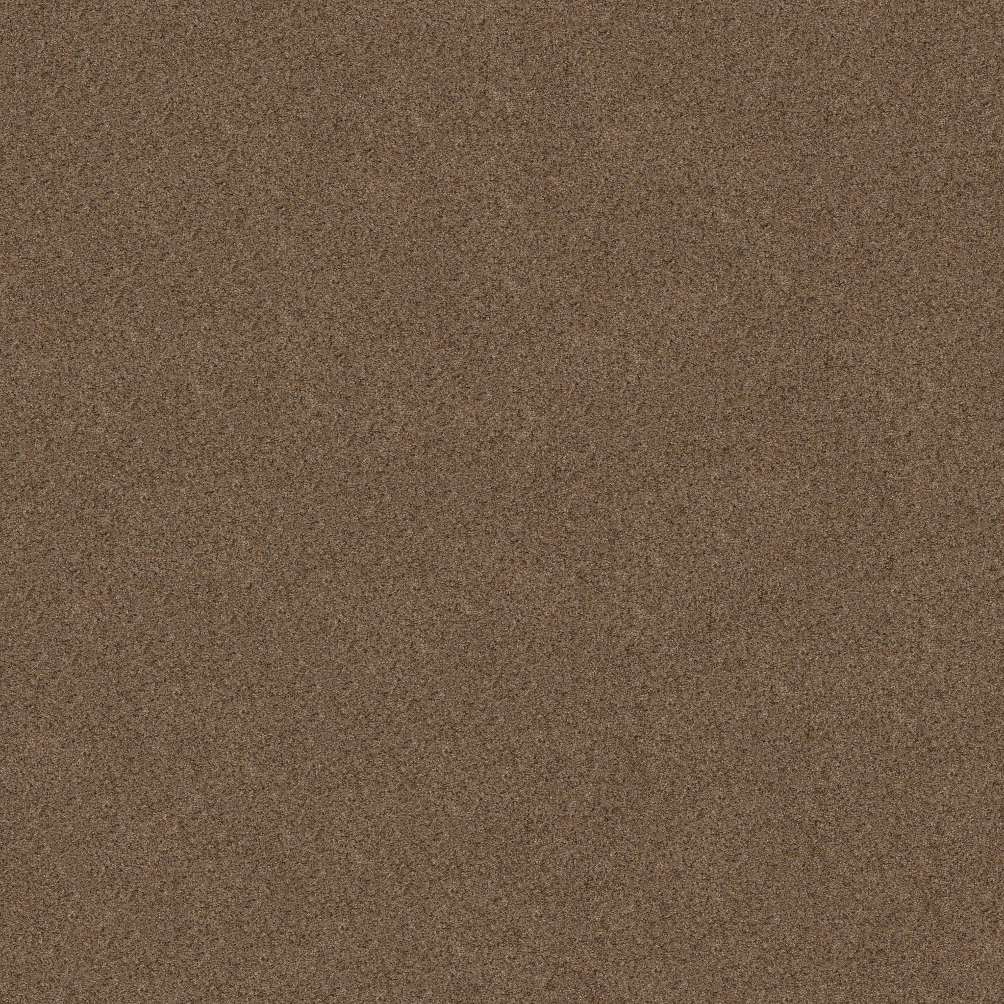 CANYON LAKE STONE AGE MAIN