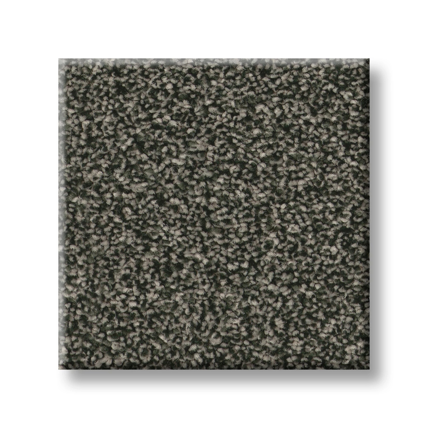 CLASSIC TONE EVERGREEN SWATCH