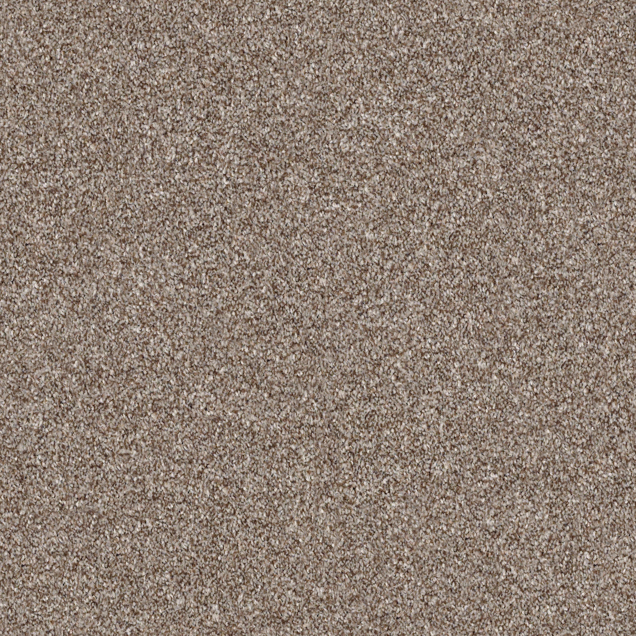 MAKE IT MINE I FOX HOLLOW MAIN