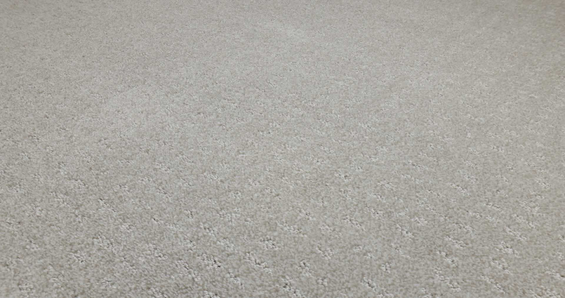 CHIC NUANCE SPLIT SEDIMENT 360PROD