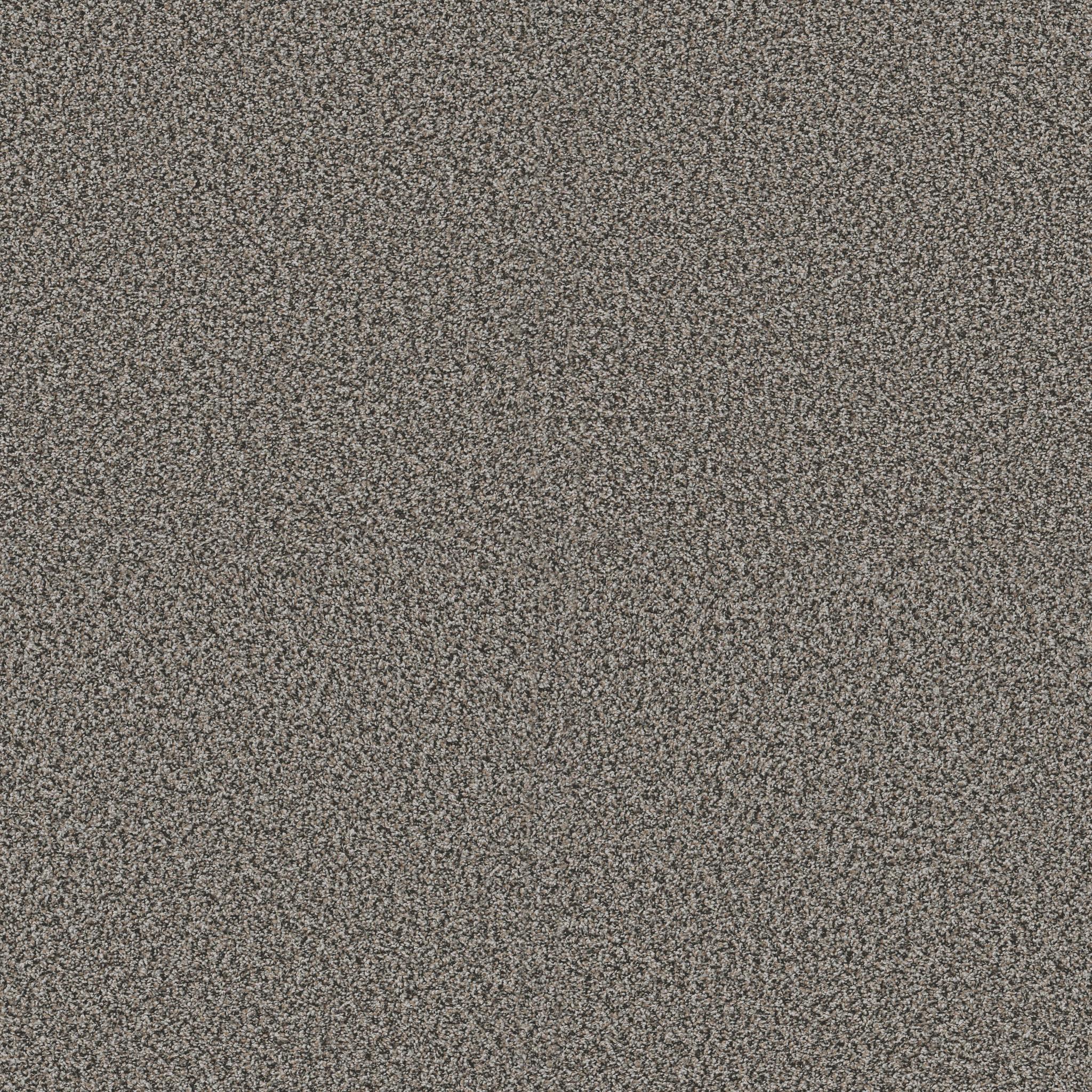 RENEWED ENERGY II SHADOW MAIN