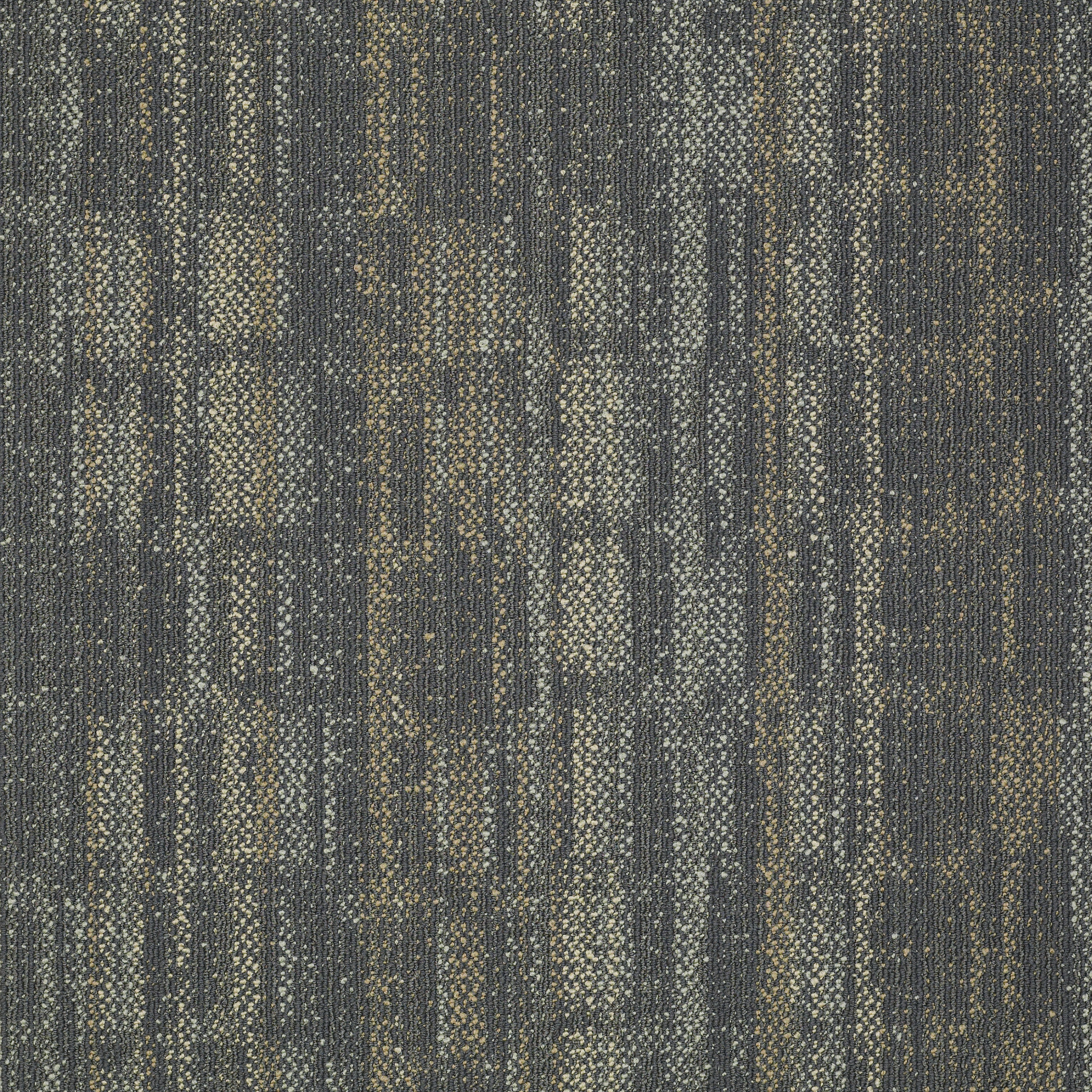 WONDER-54756-EMBRACE-POWER-00500-main-image