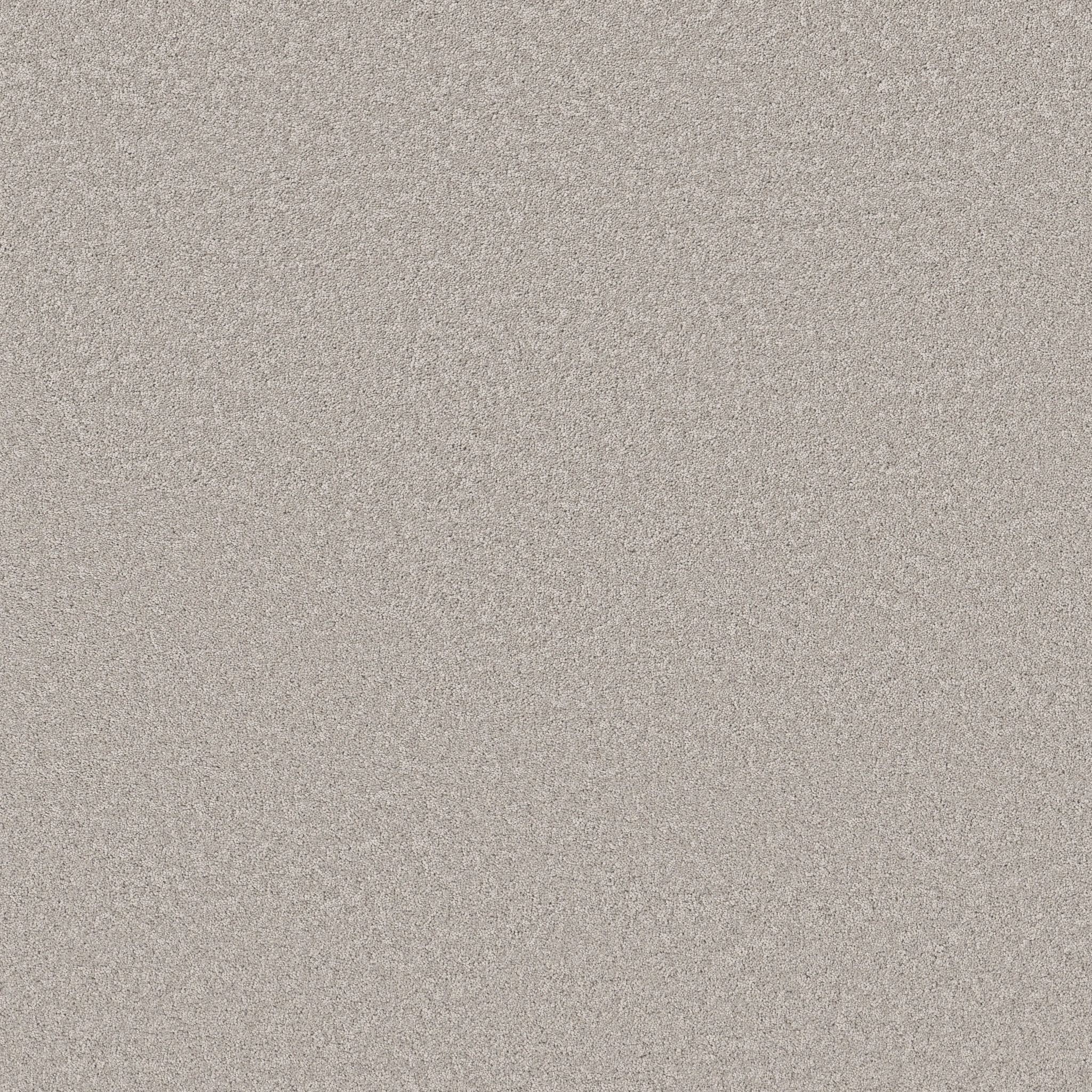 VELVET TOUCH II GRAVITY MAIN