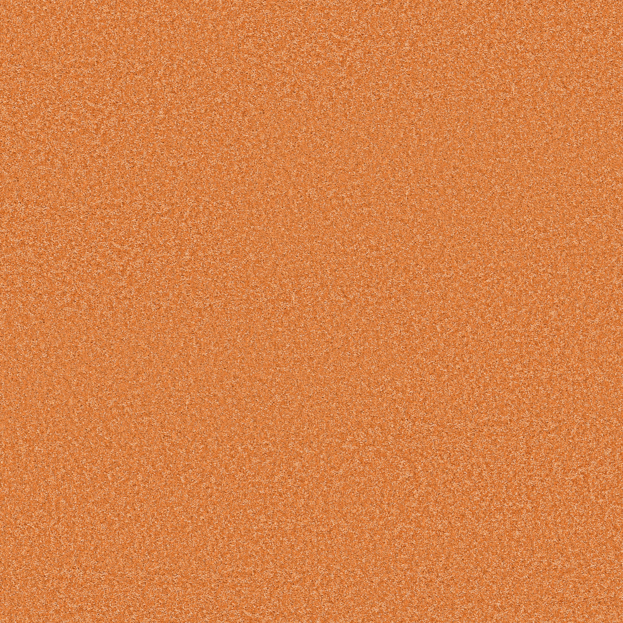 THE BRIGHT SIDE ORANGE YOU GLAD MAIN