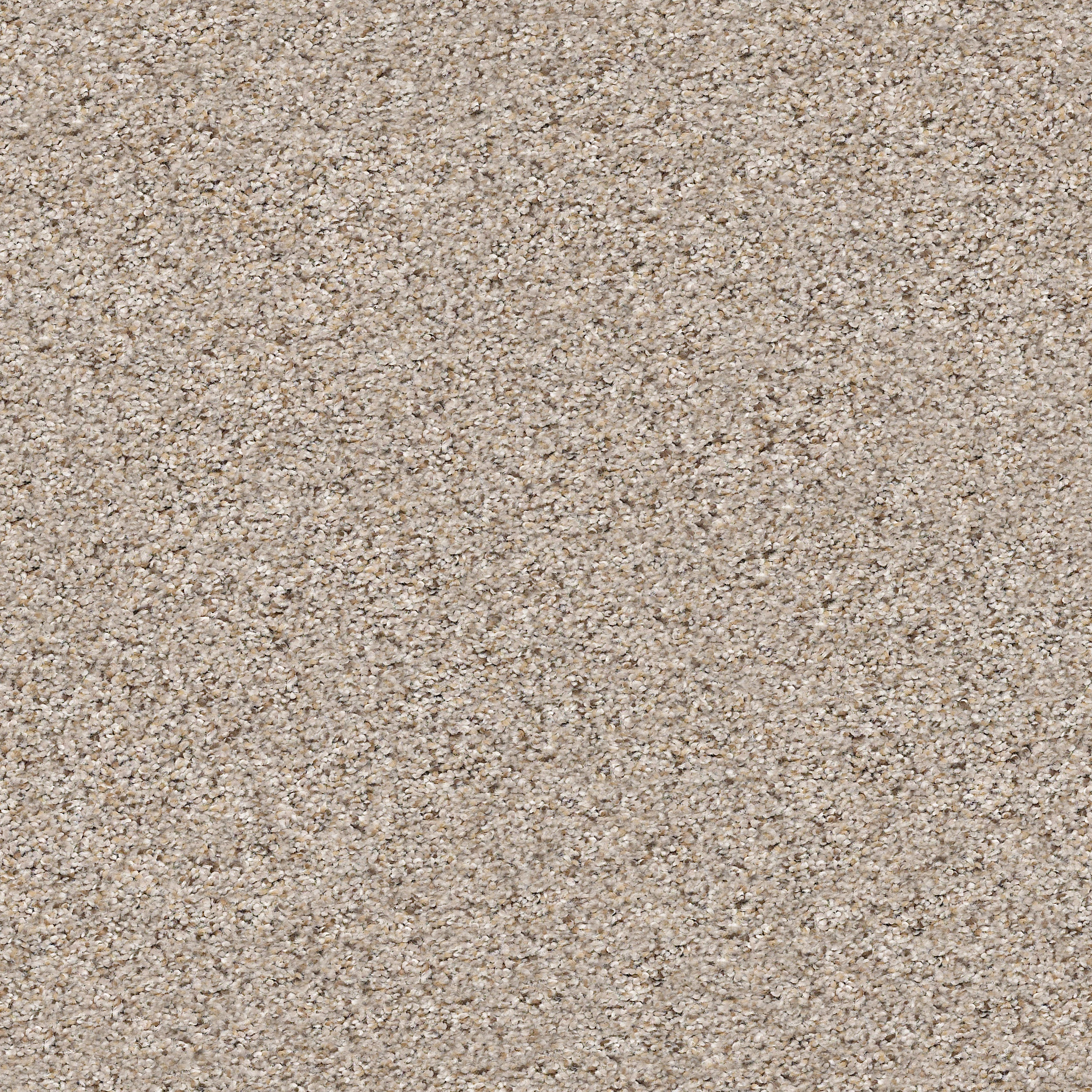 ELEMENTAL MIX III PENCIL SKETCH MAIN