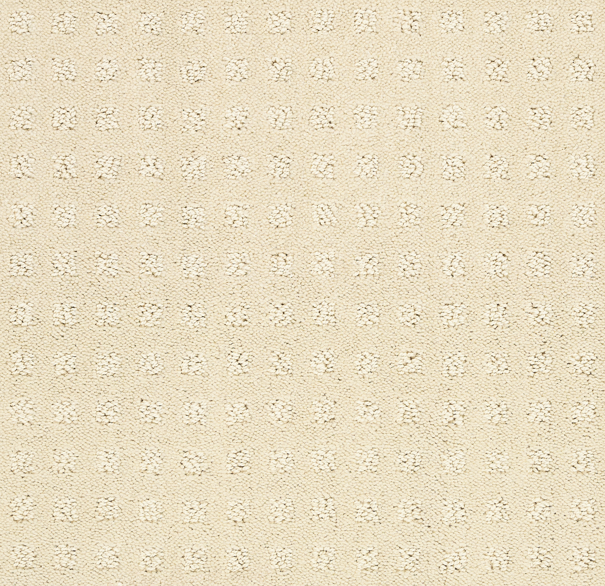 NOTTINGHAM MOONLIGHT MAIN