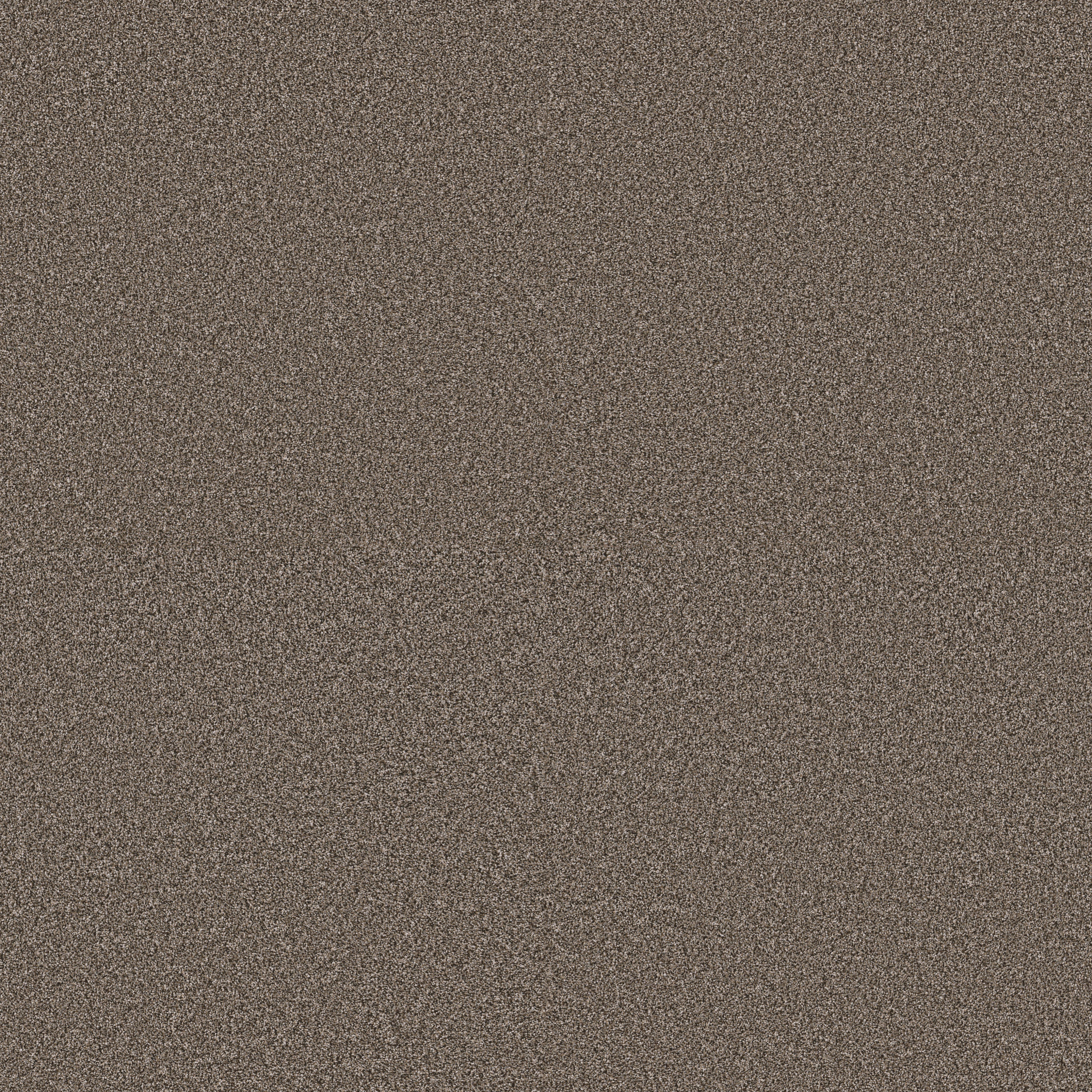 AFFIRMATION II HAVANA MAIN