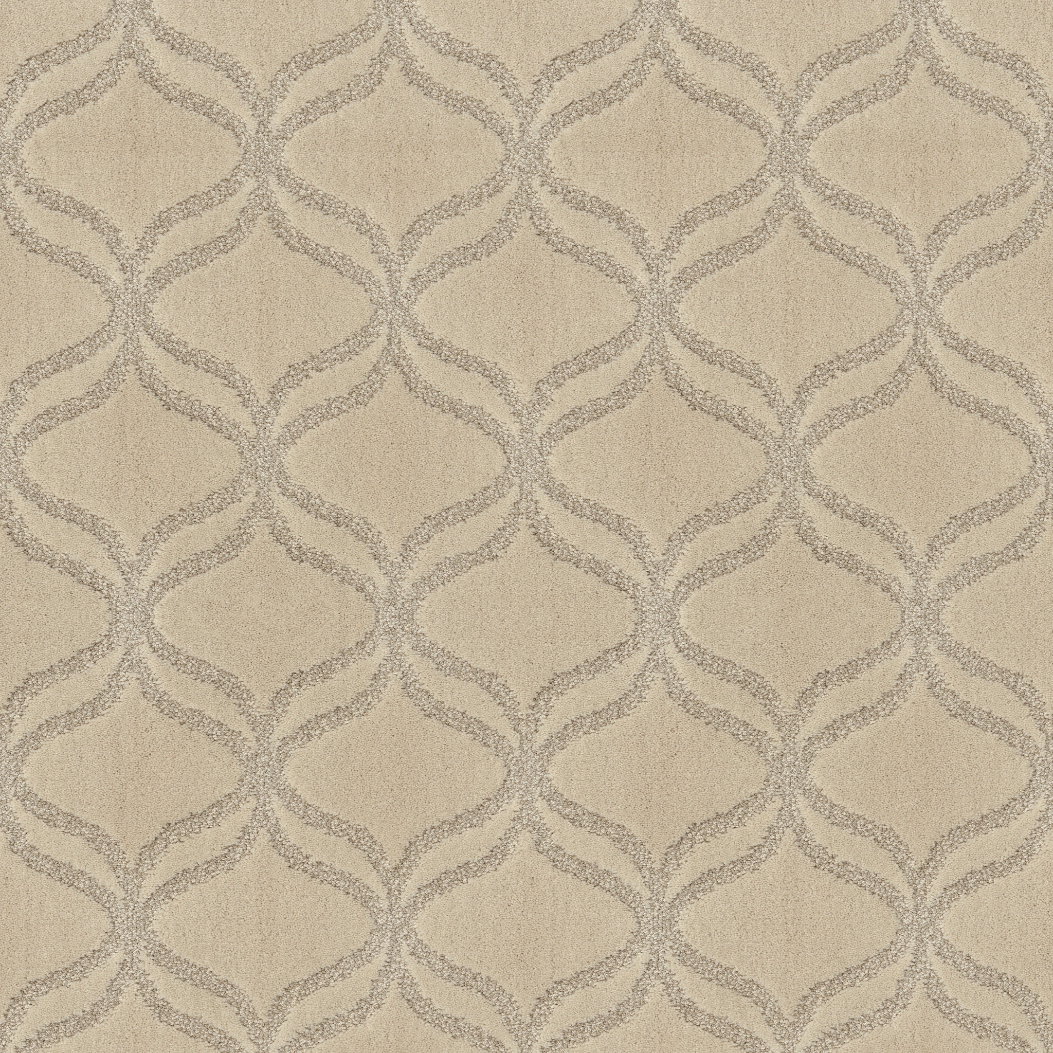 APPRECIATION MOHAIR MAIN