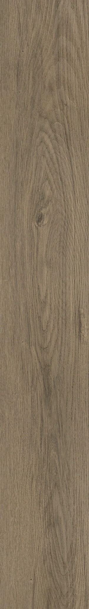 BAKERSFIELD OAK 1TO1