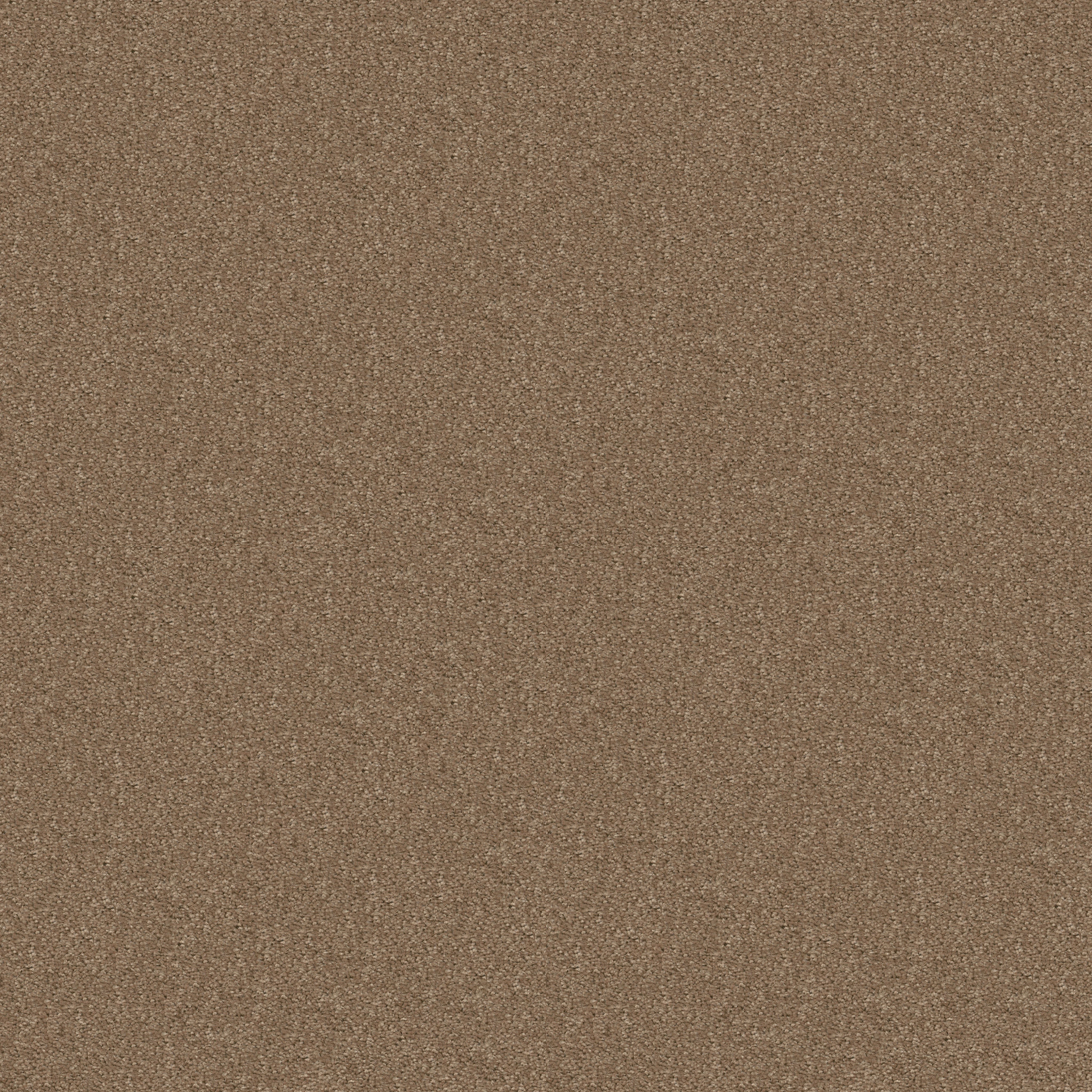 BRICEVILLE CLASSIC 12 DUSTY TRAIL MAIN