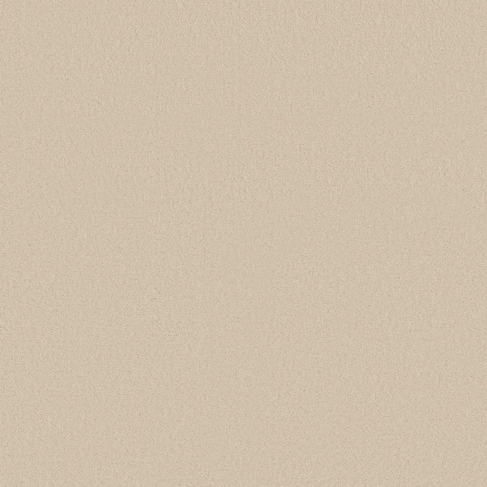 FINERY FRENCH BUFF MAIN