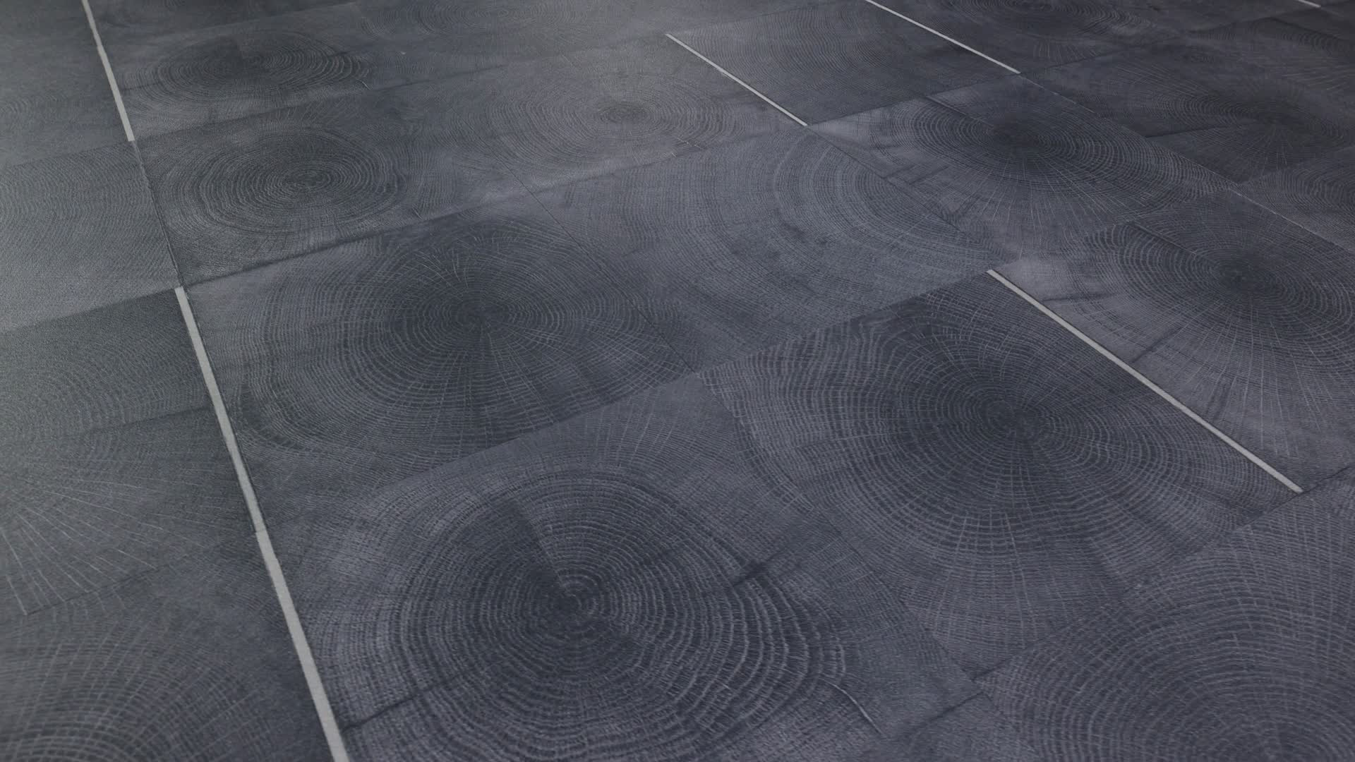 Cut Charcoal Rotation360