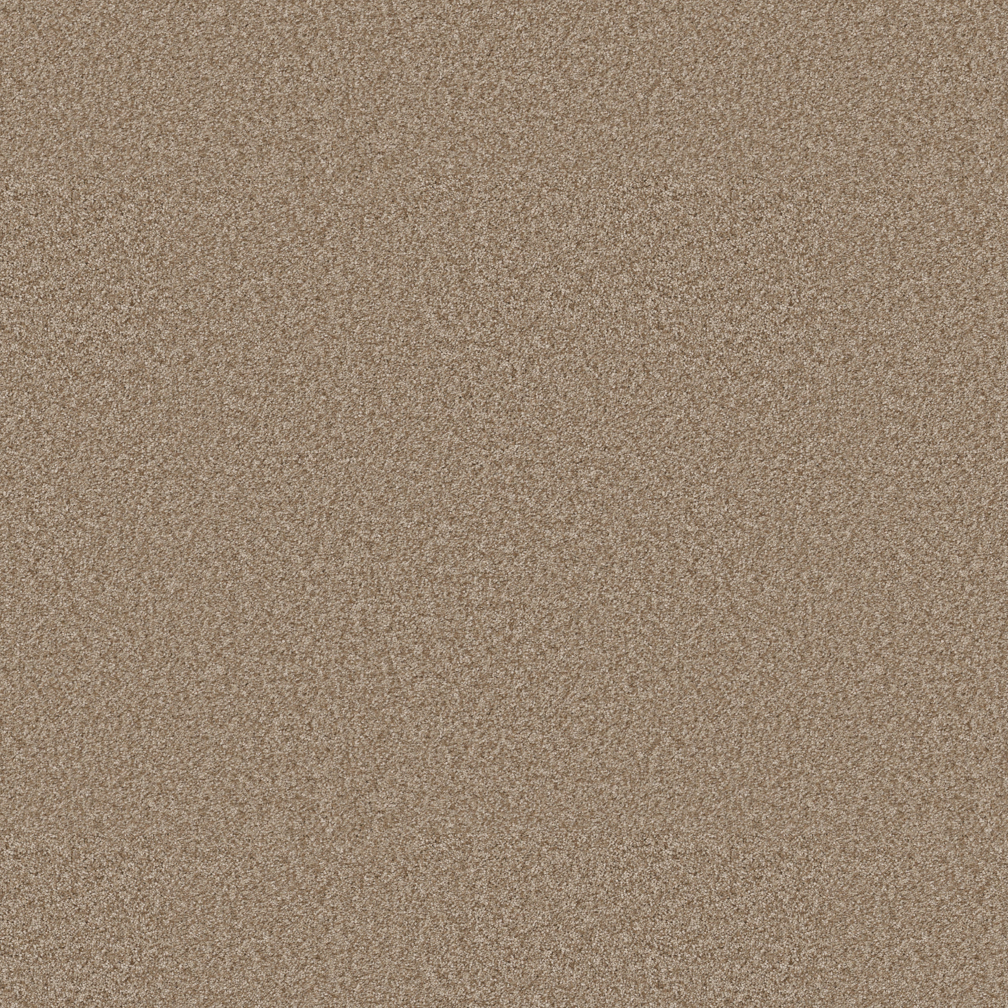 YOU GOT THIS II WORN PATH MAIN