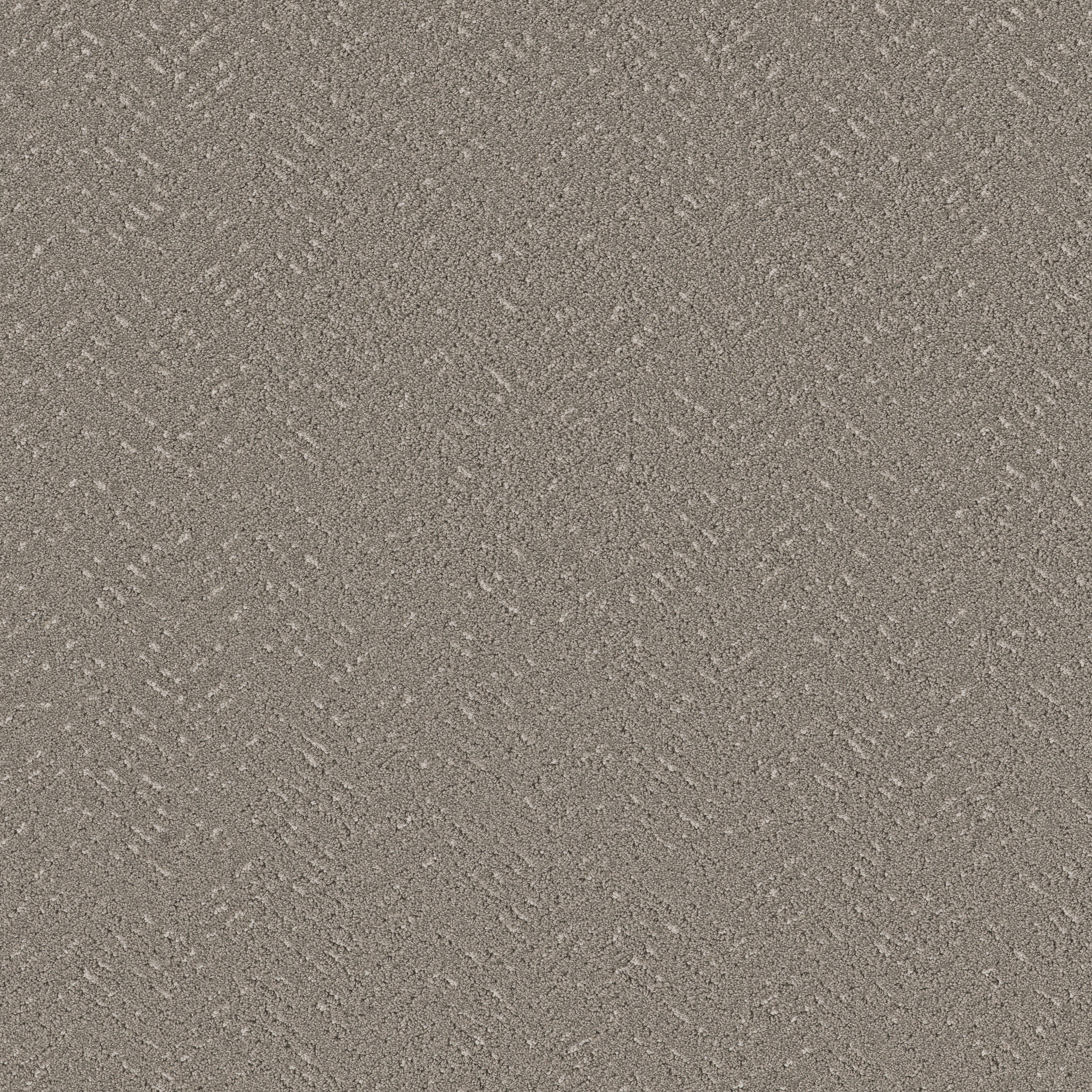 FAVOURED PATH ASHES MAIN