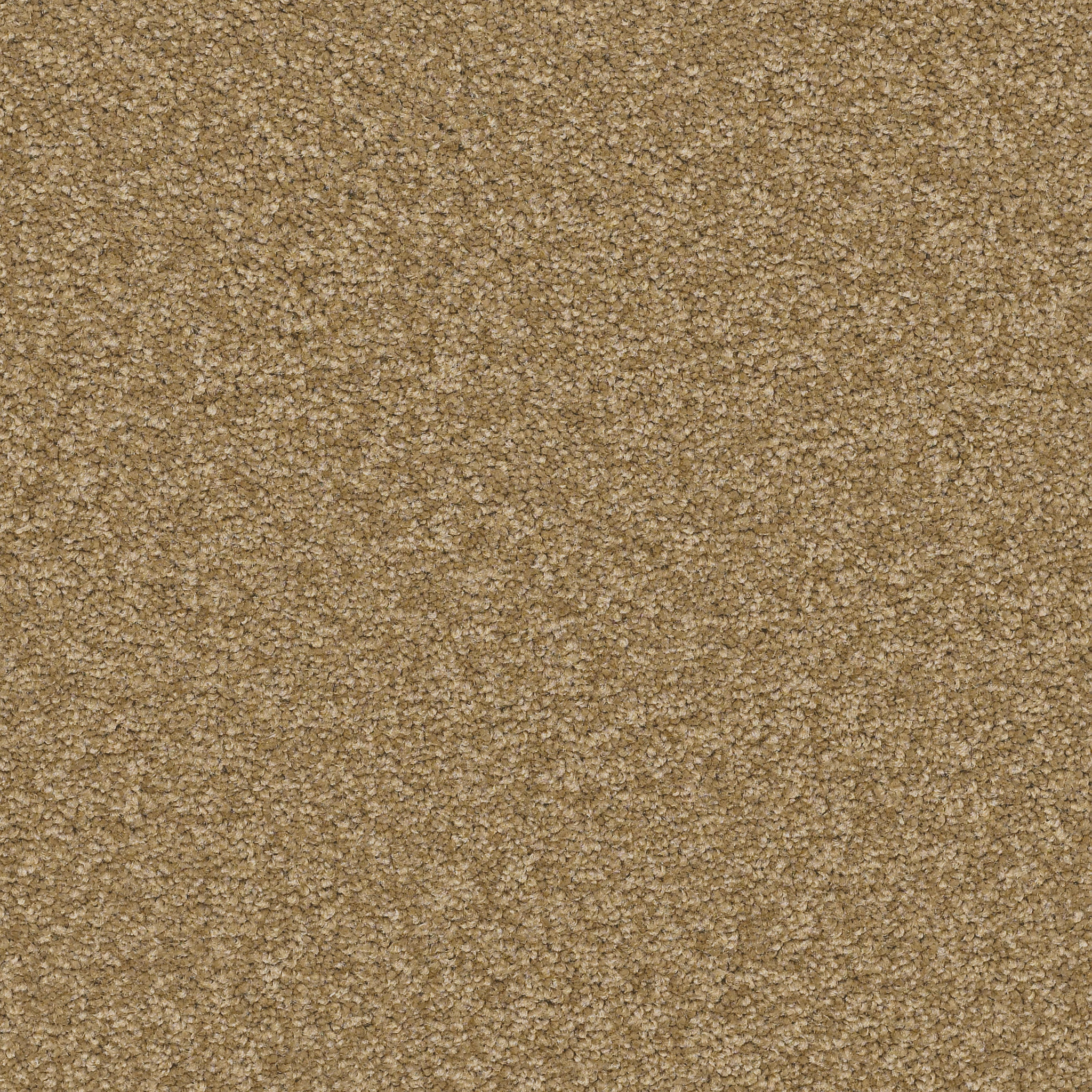 SANDY HOLLOW II 12' MUFFIN MAIN