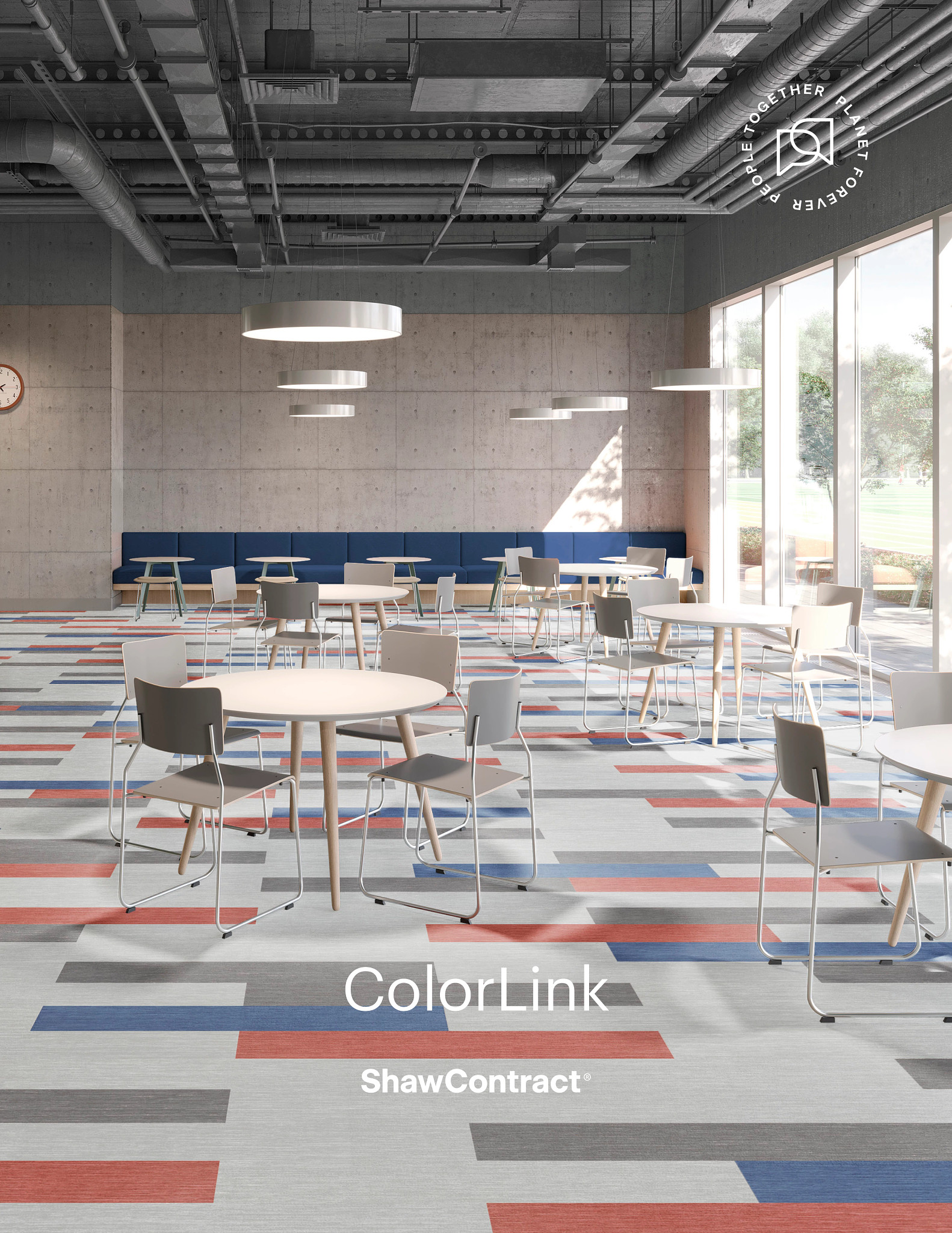 ColorLink Brochure