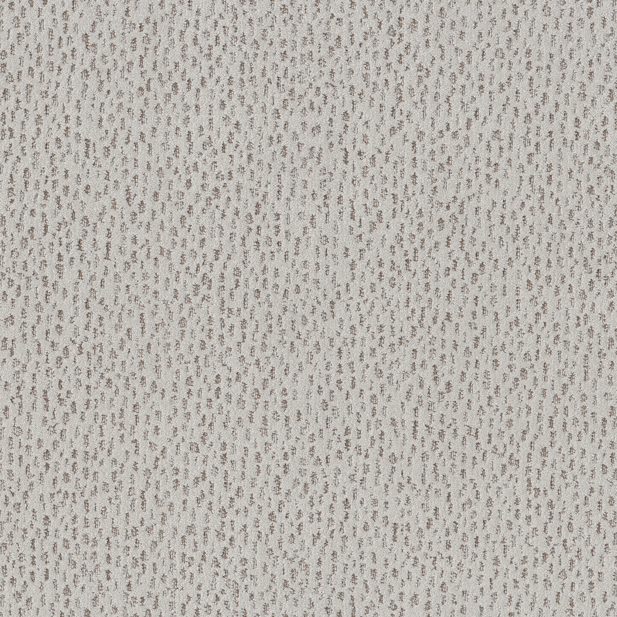 AMBITIOUS GREY FOX MAIN