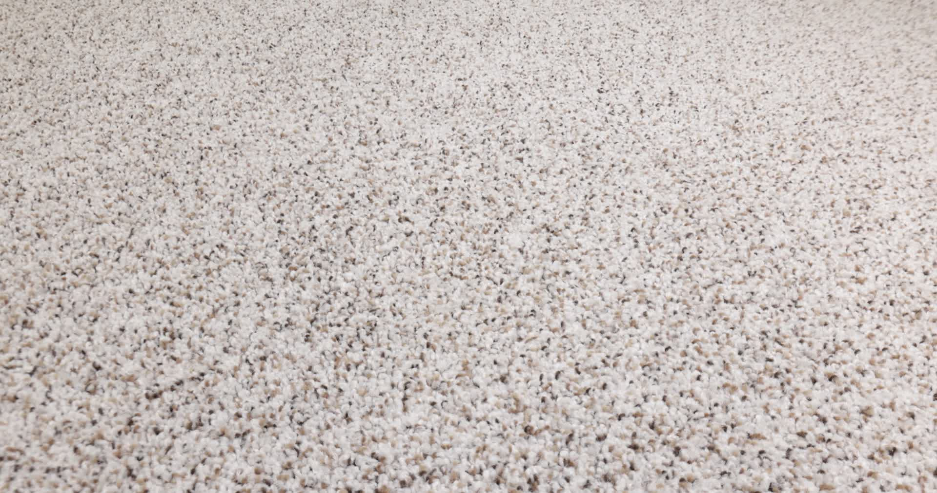 STRANDS OF NATURE II PIXELS 360PROD