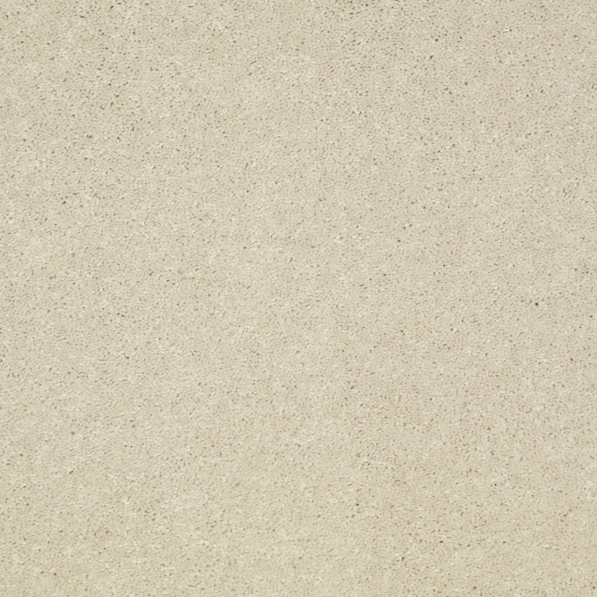 TURN THE PAGE II 12' FRESCO MAIN