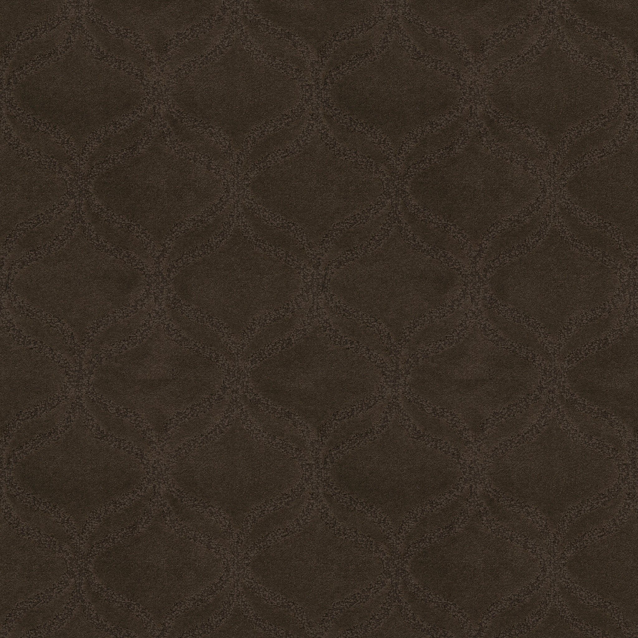 NEW EXHIBITION BROWNING MAIN