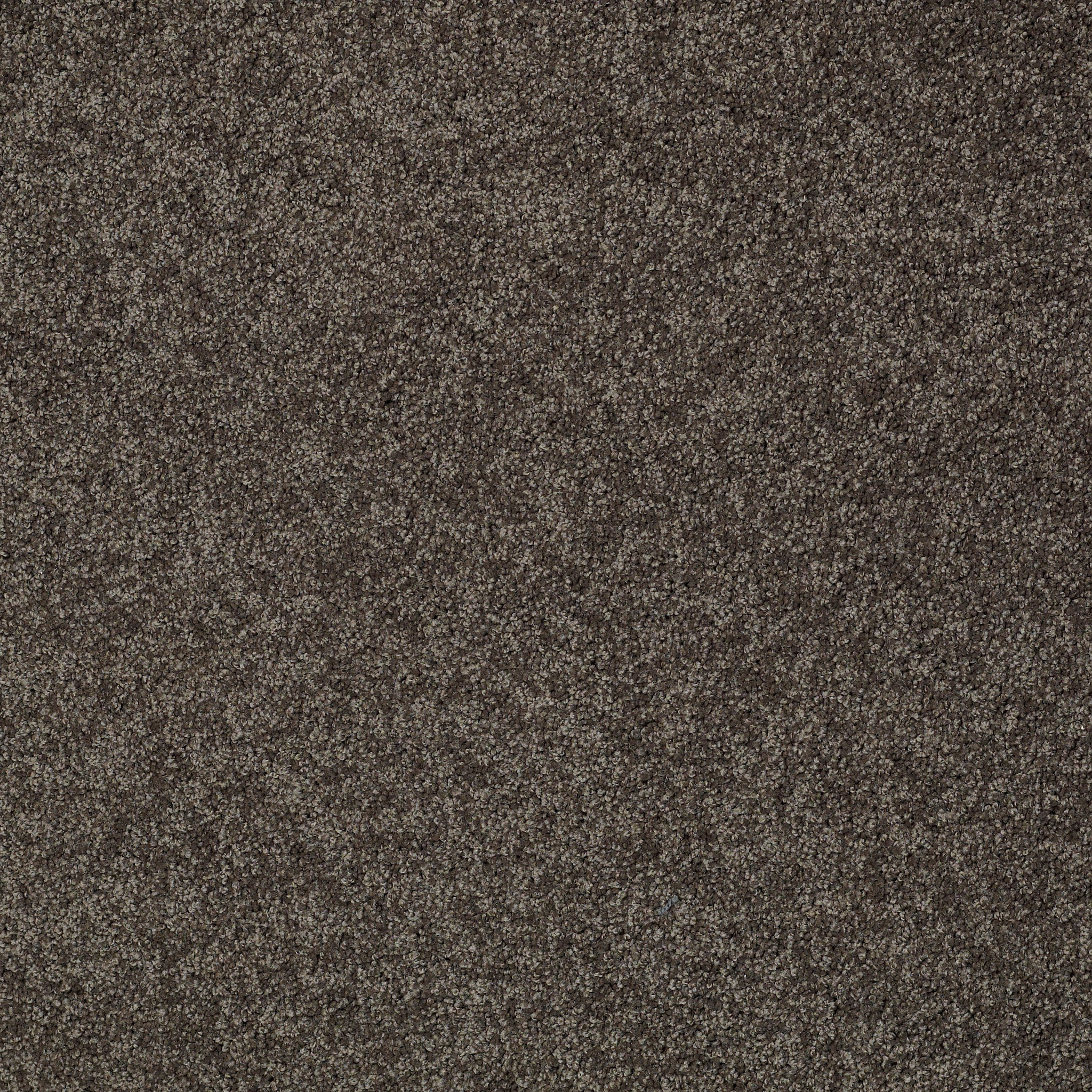 MY INSPIRATION II CHOCOLATE MAIN