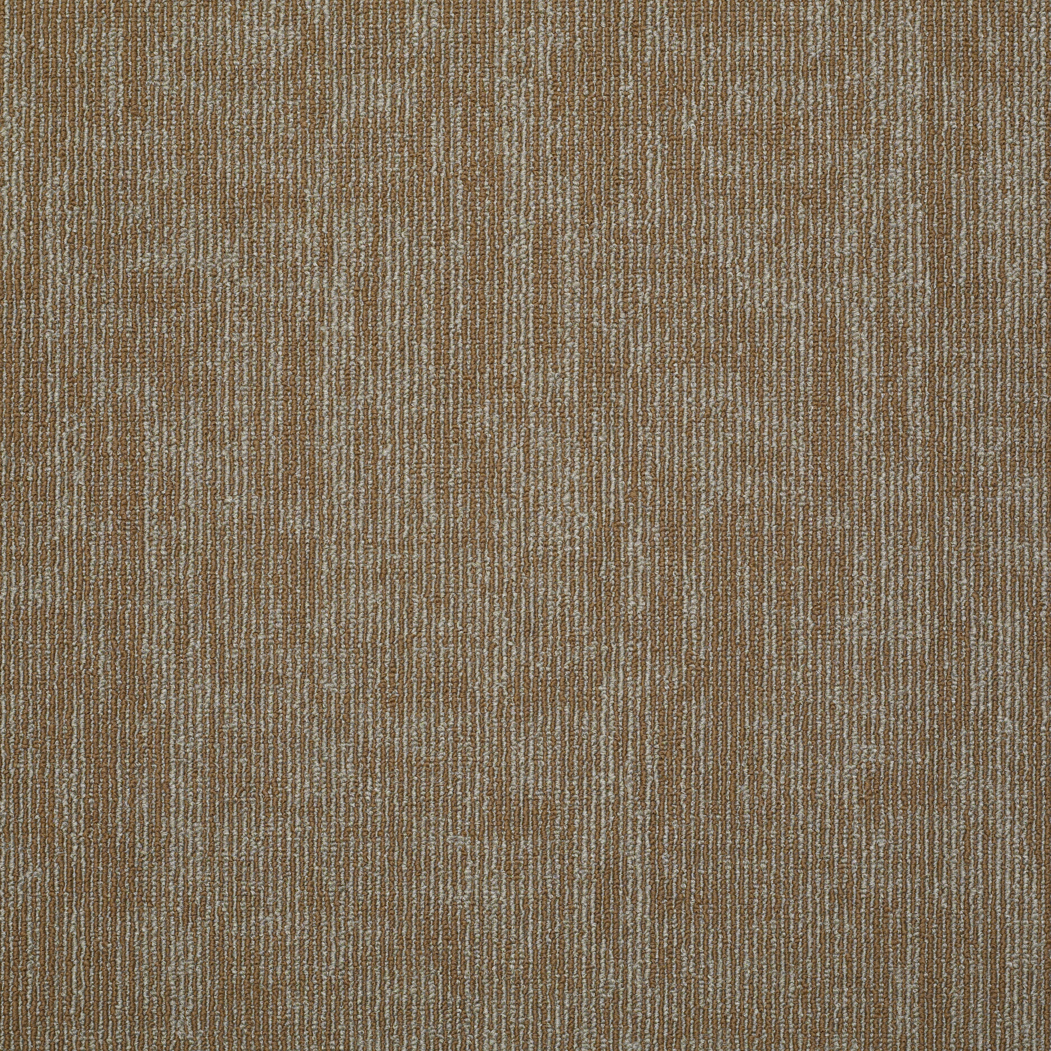 CARBON-COPY-TL-54806-DUPLICATE-06600-main-image