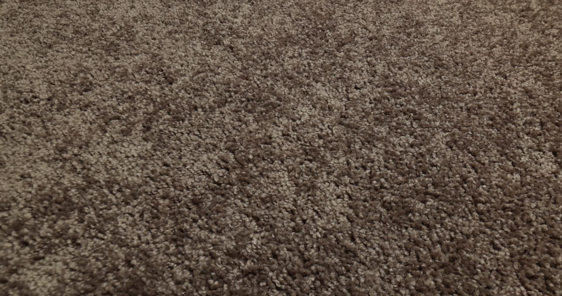 EXPECT MORE (S) BIRD HOUSE 360PROD