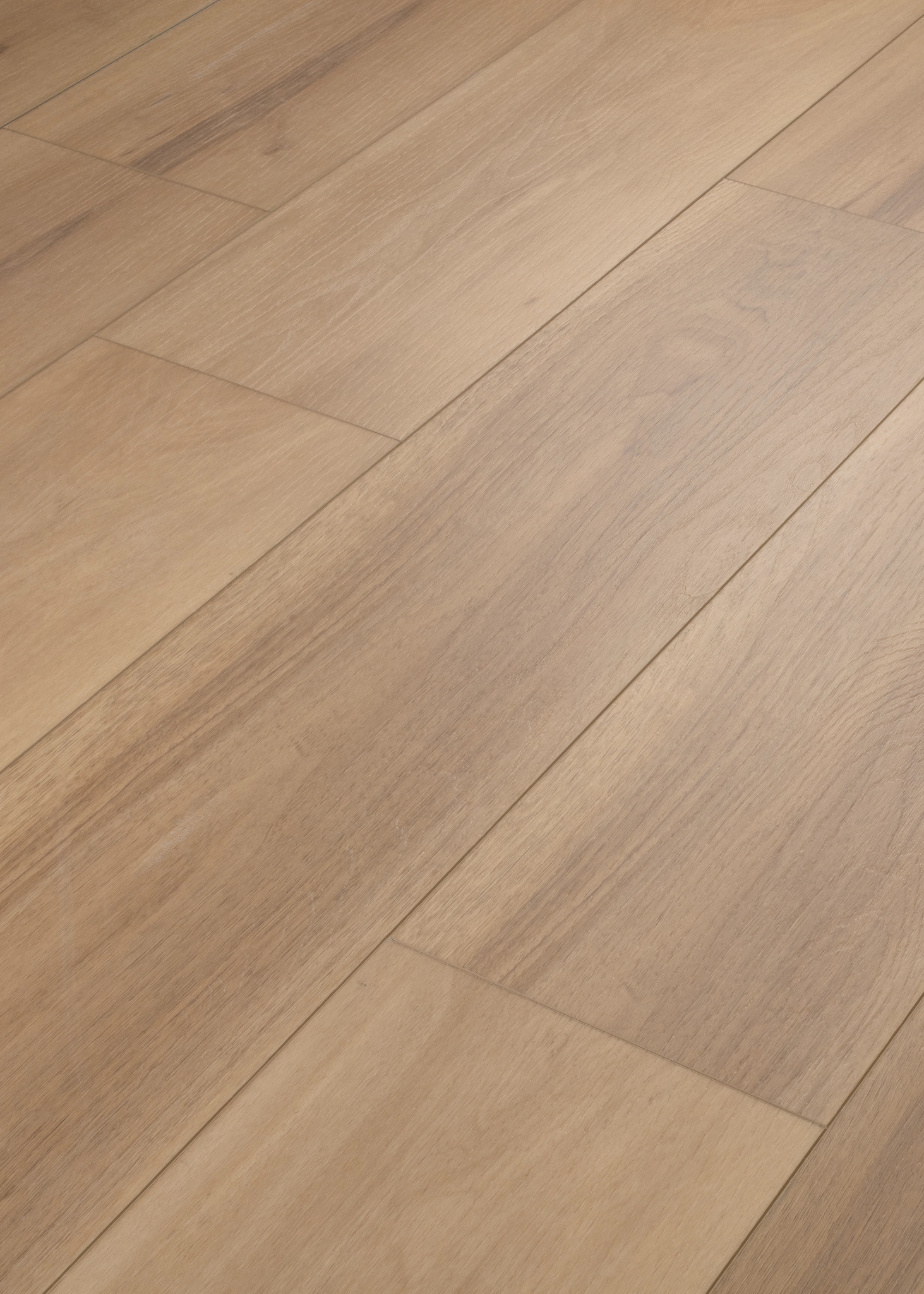Paragon Hd+Natural Bevel - in Franklin | Shaw Floors