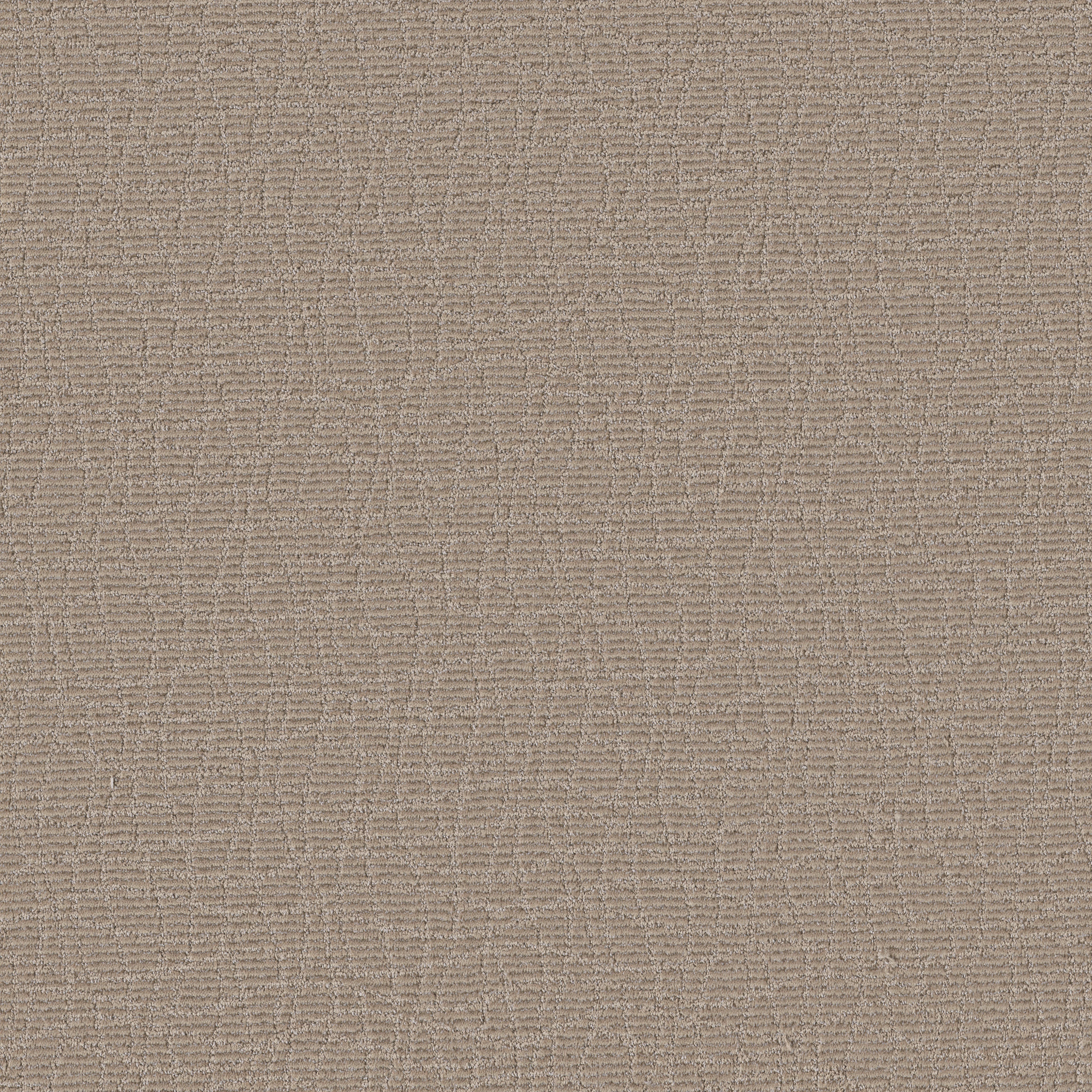 CHIT CHAT CANYON DUST MAIN