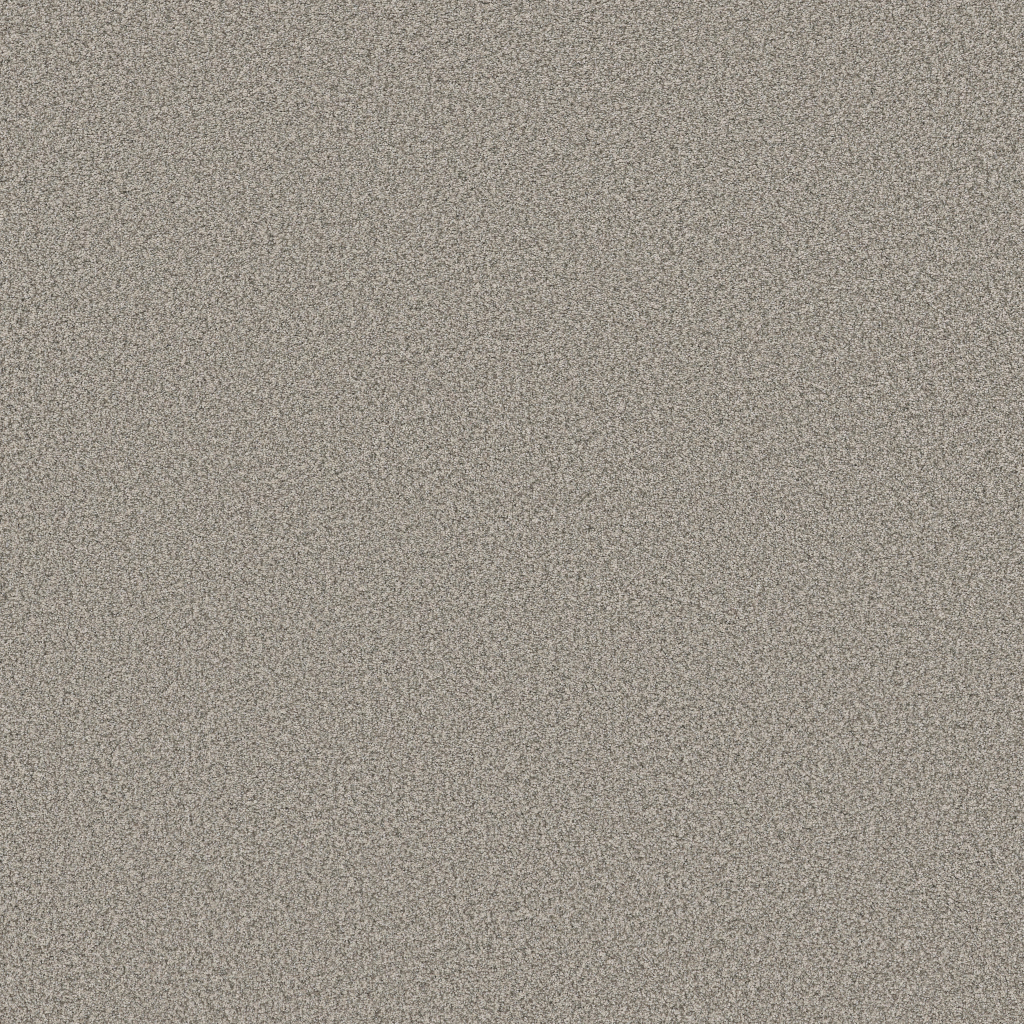 SOMERSET MOTH GRAY MAIN