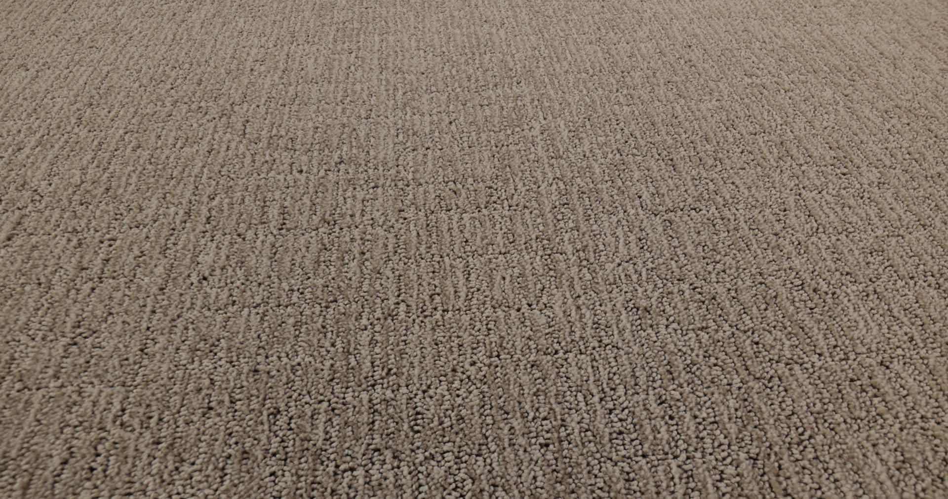 WANDERER PLAINS 360PROD