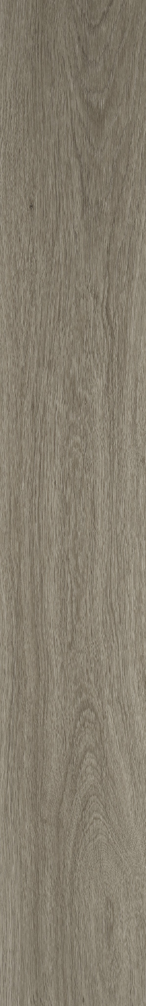 DISTINCTION PLUS EXECUTIVE OAK 1TO1