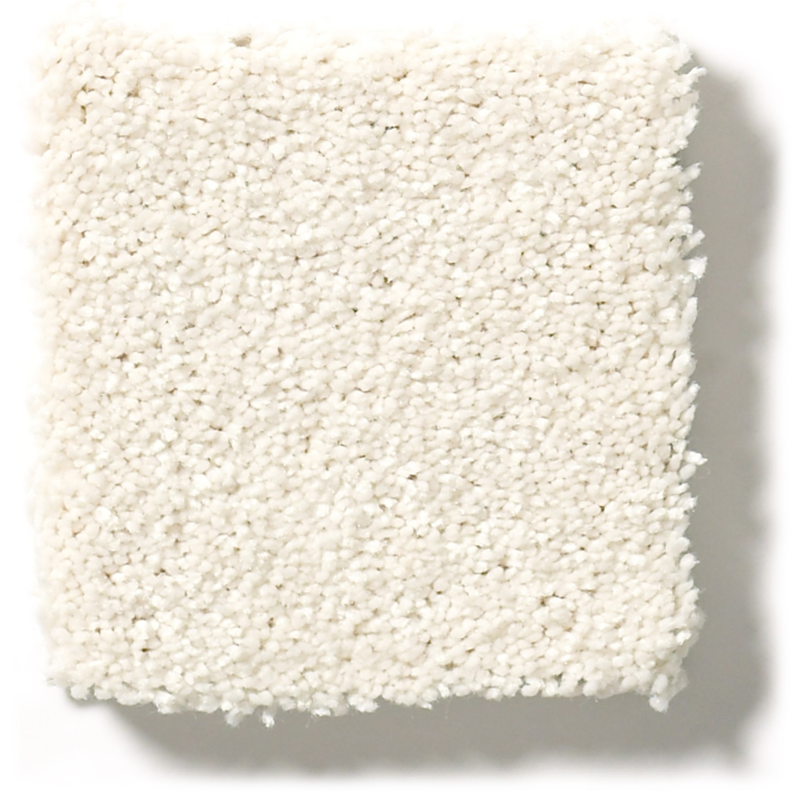 BASIC RULES OATMEAL SWATCH