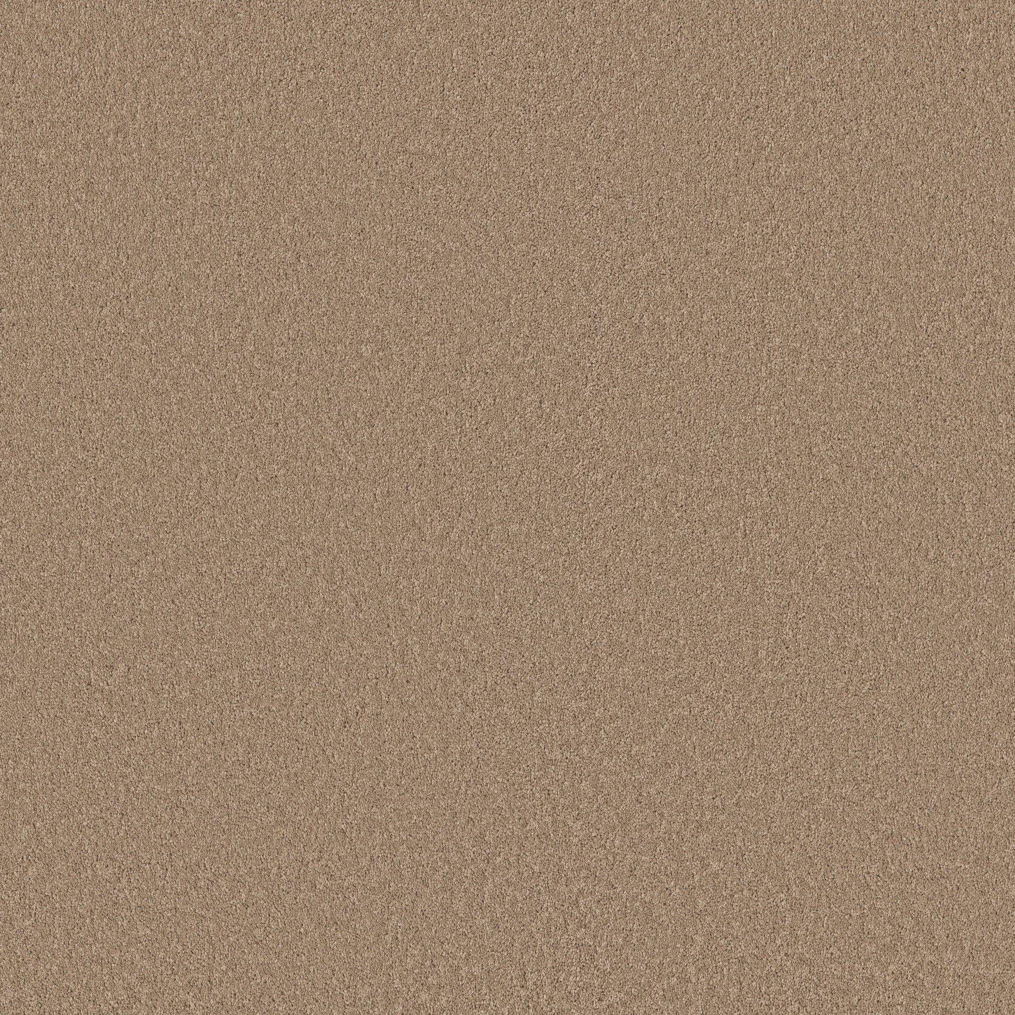 VELVET TOUCH II CANOE MAIN