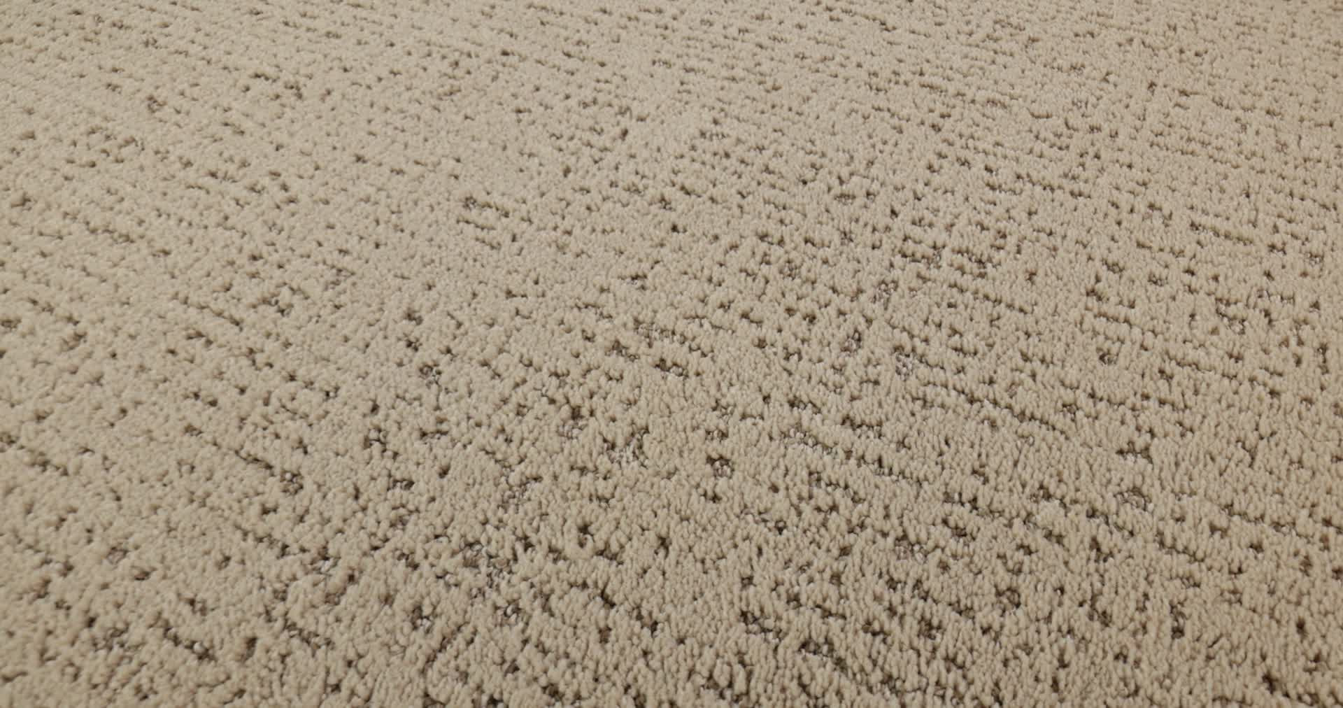 CURATED TONE BLUE SAFARI 360PROD