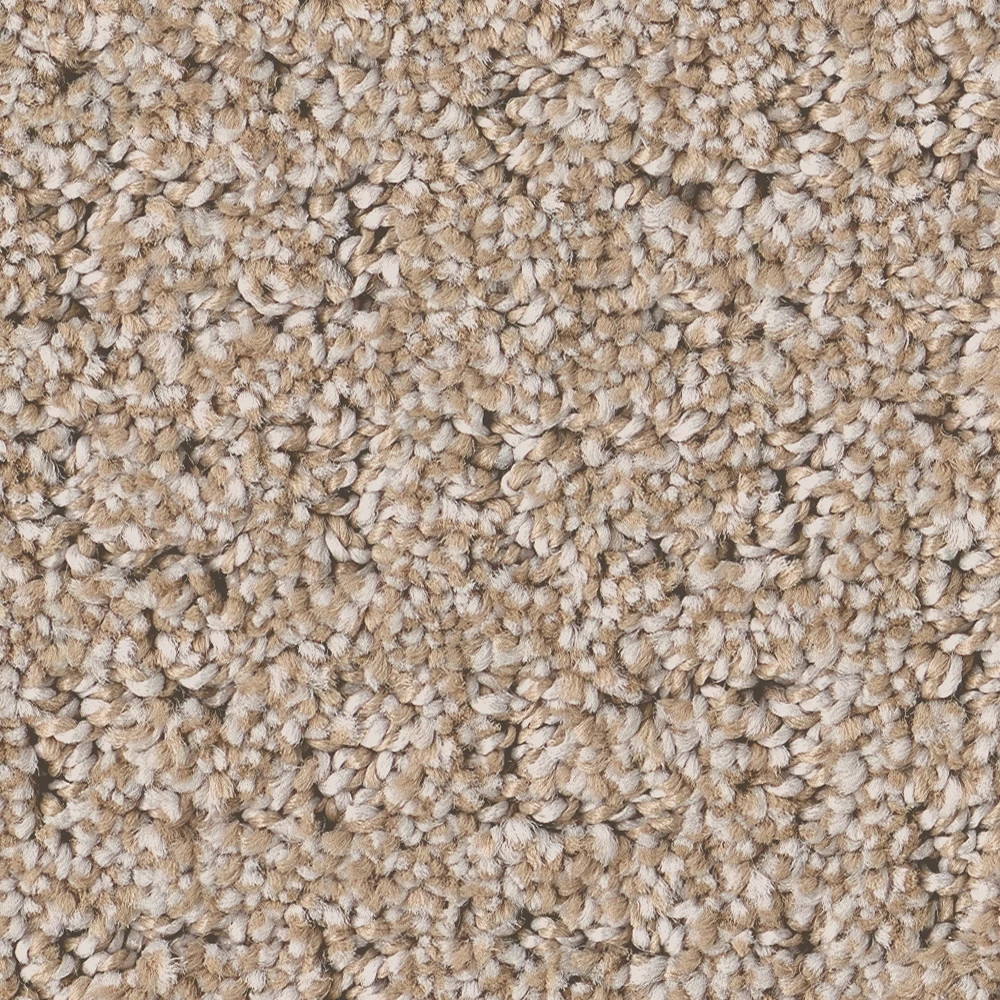 SECRET JOURNEY BAJA SWATCH