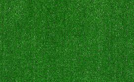 ARBOR-VIEW-(S)-54624-GRASS-CLIPPINGS-00300-main-image