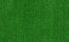 ARBOR-VIEW-(S)-54624-GRASS-CLIPPINGS-00300-main-image