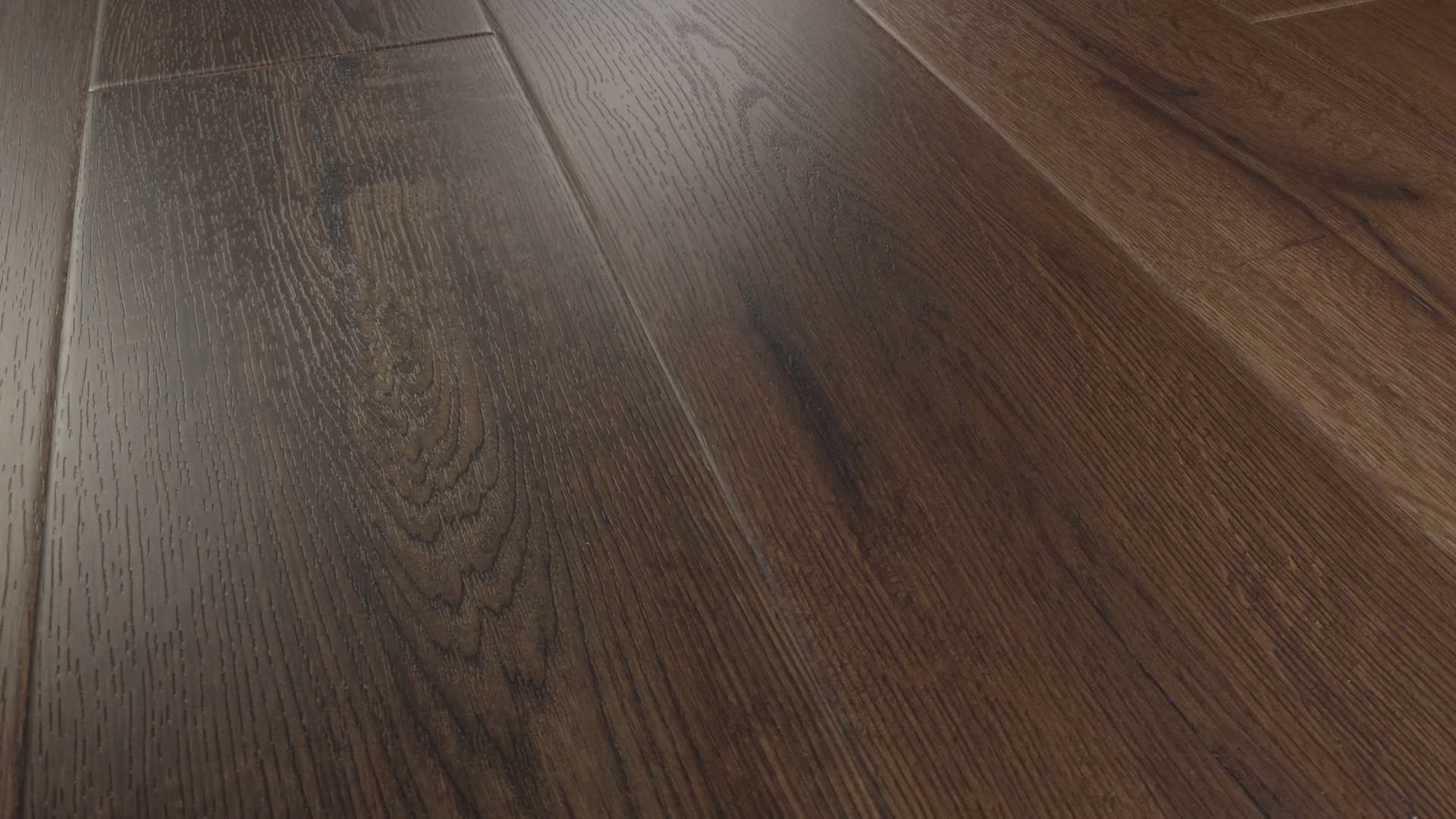 MIDNIGHT OAK 360PROD