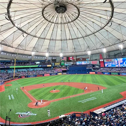 Tampa Bay Rays Logo with Stadium Background Tampa Bay Rays logo over baseball stadium scene