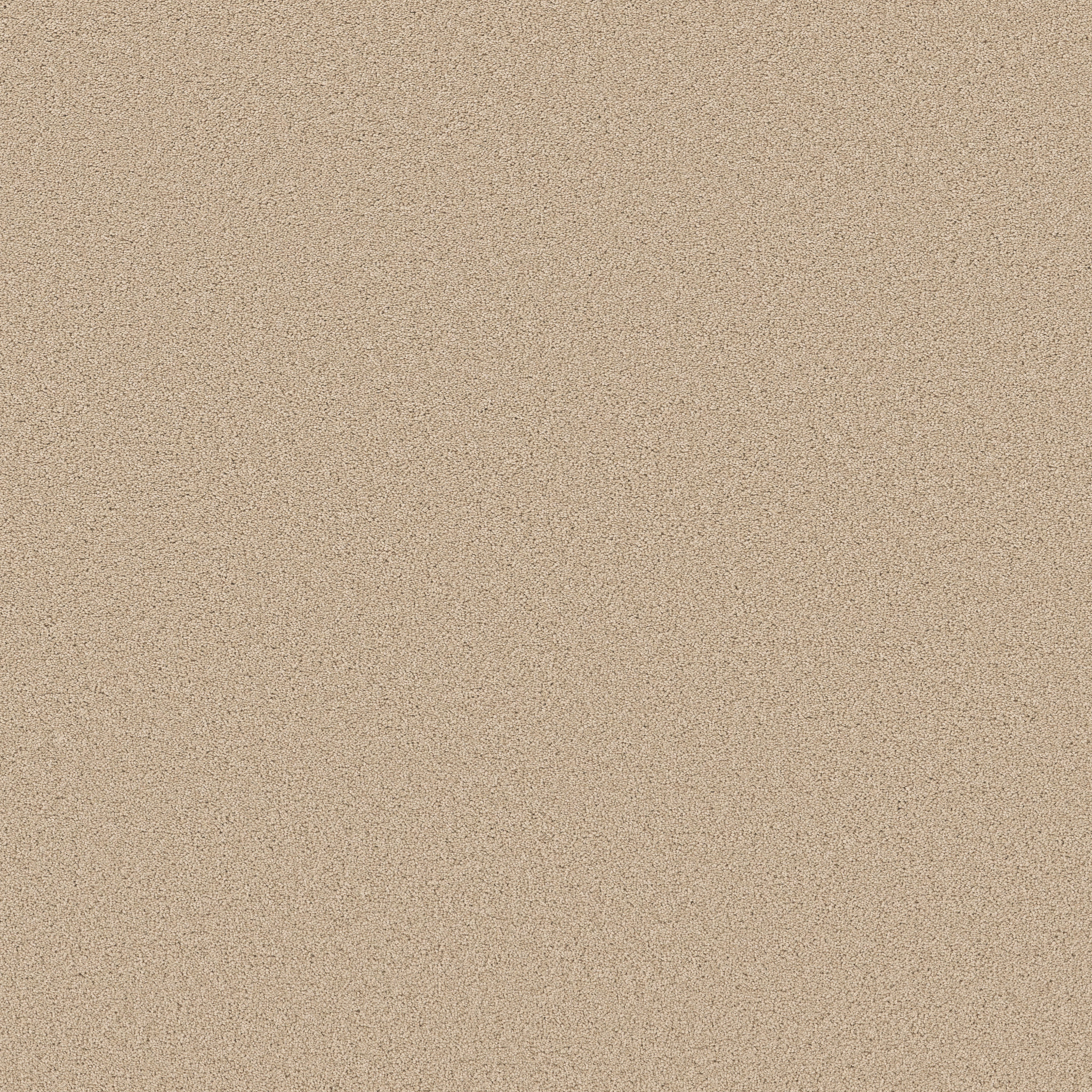 VELVET TOUCH II CASHEW MAIN