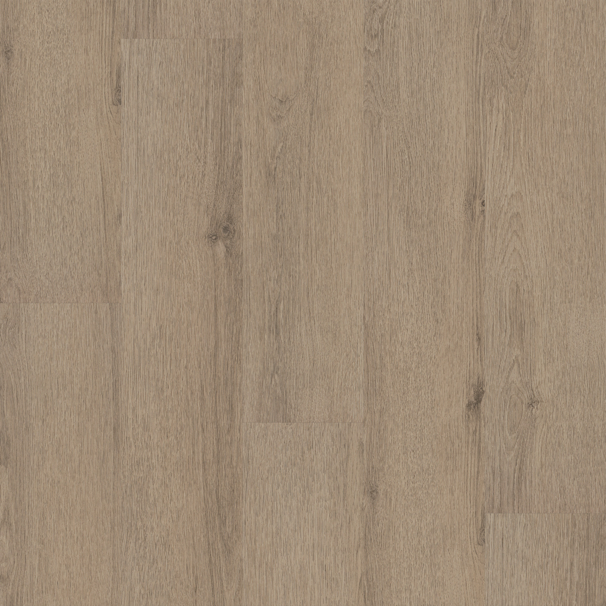 NATURAL BEGINNINGS SPC HAZELWOOD MAIN