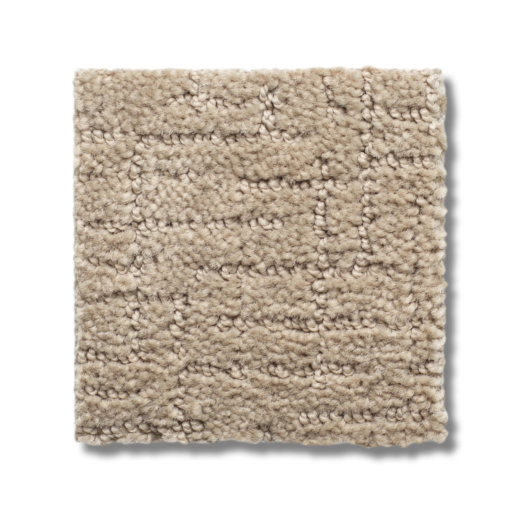 ONE MORE HOUR TUSCAN SWATCH